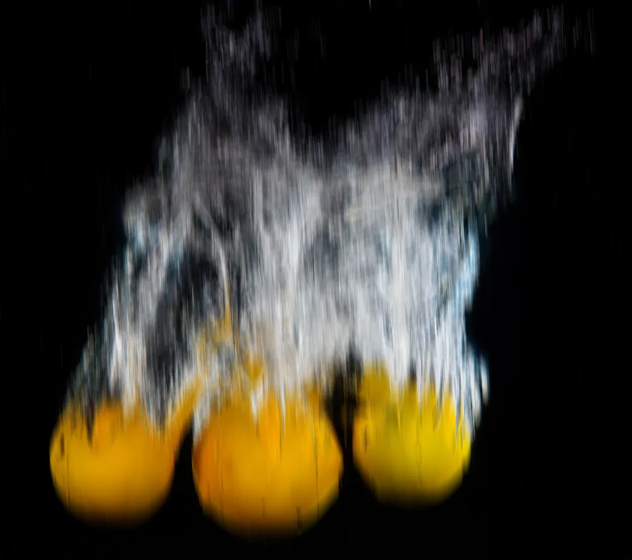 Entry 6130951