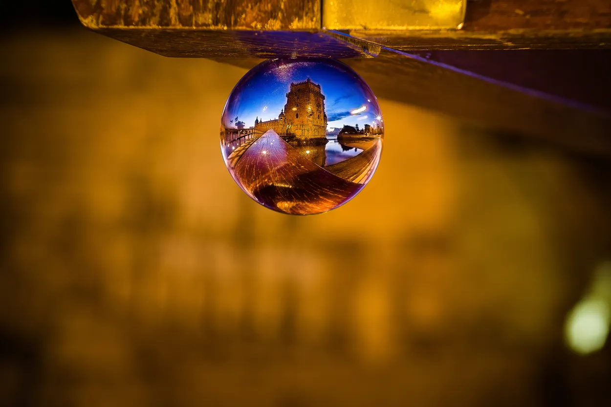 Entry 311214