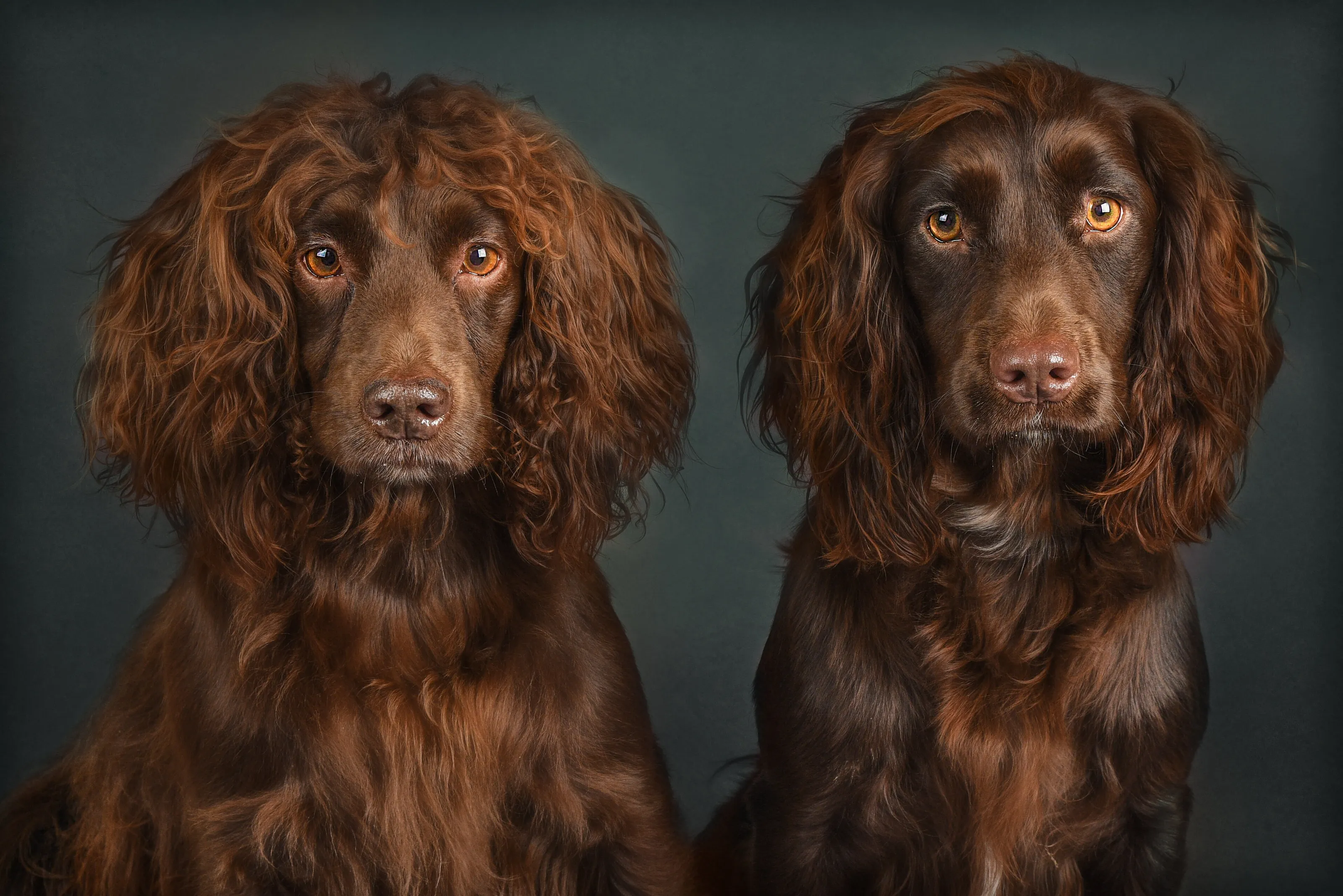 Double vision