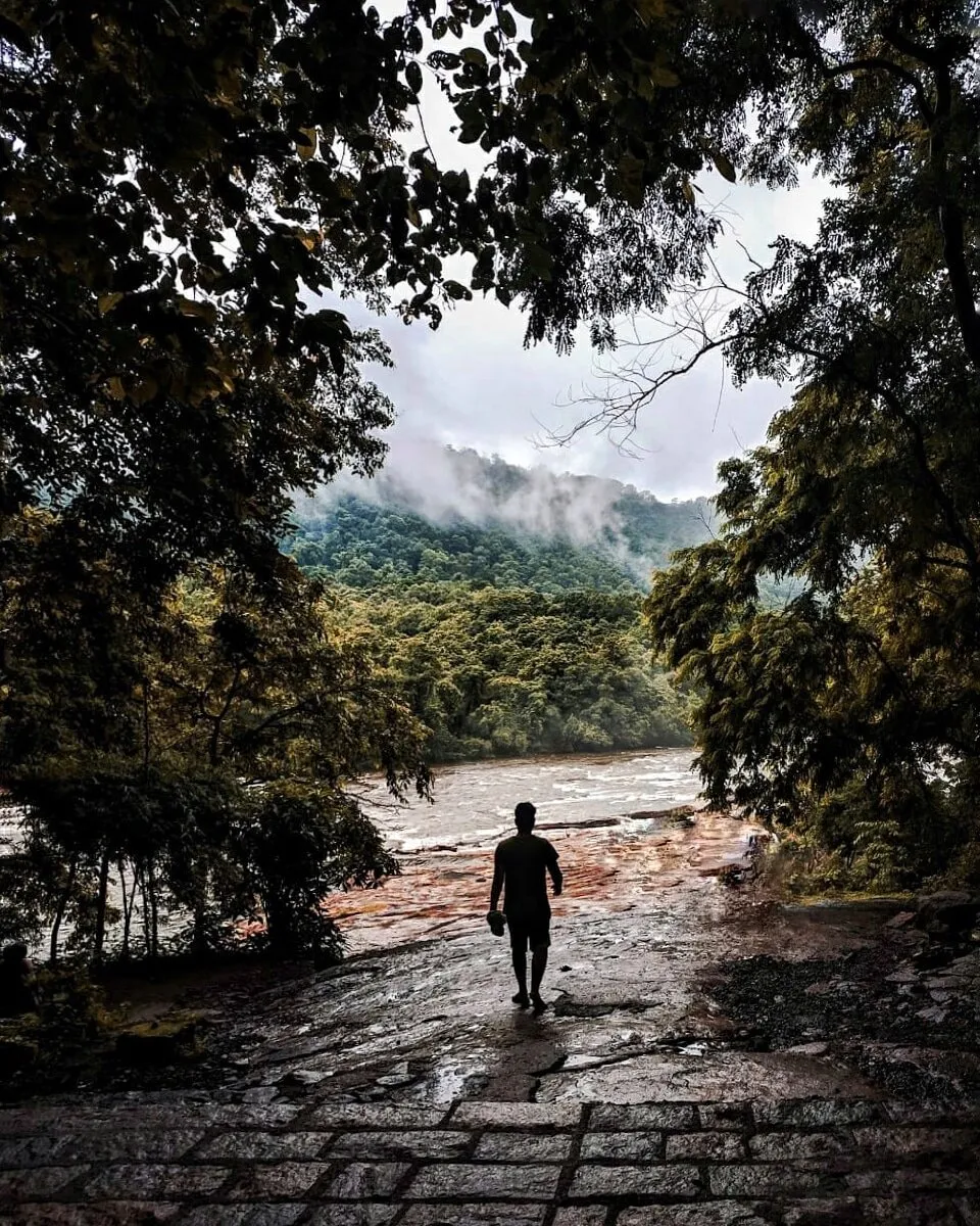 Fall in nature.
