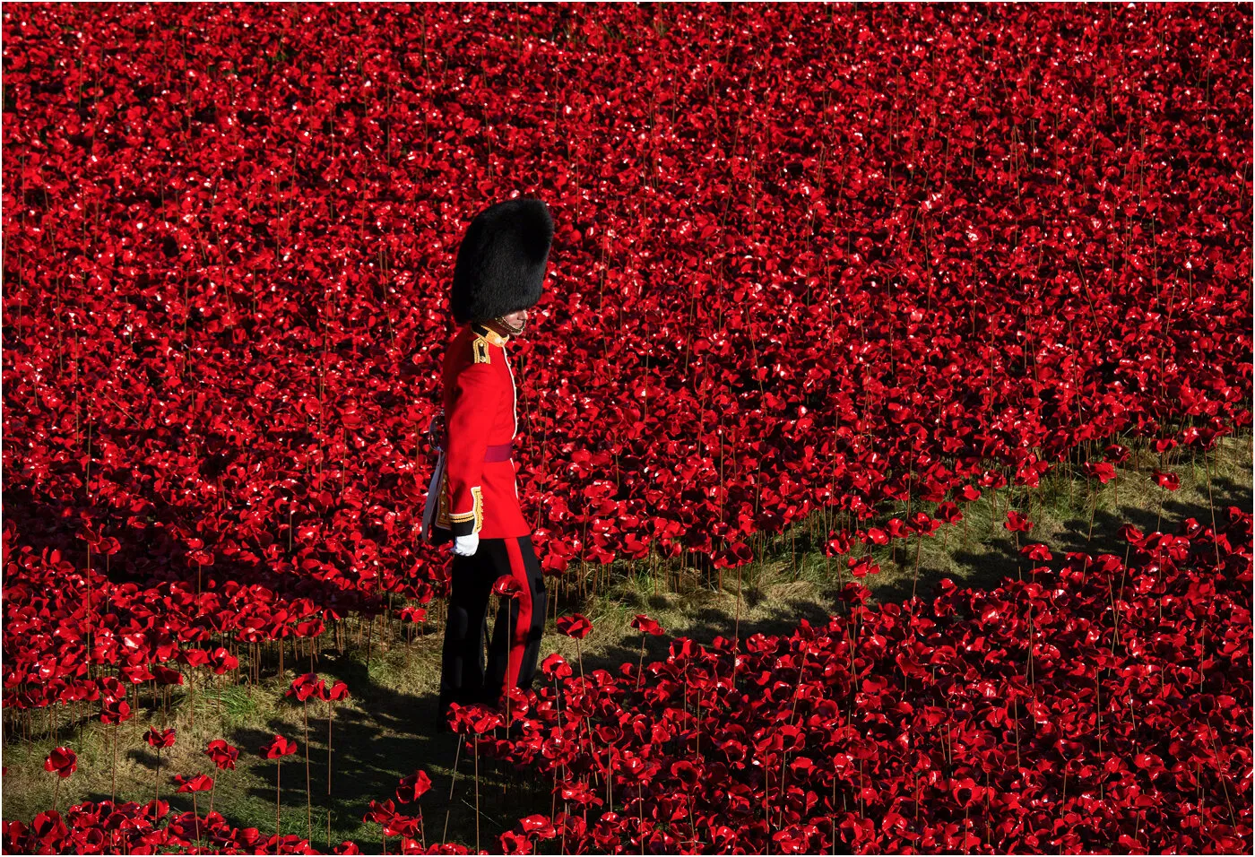 Remembering the Fallen