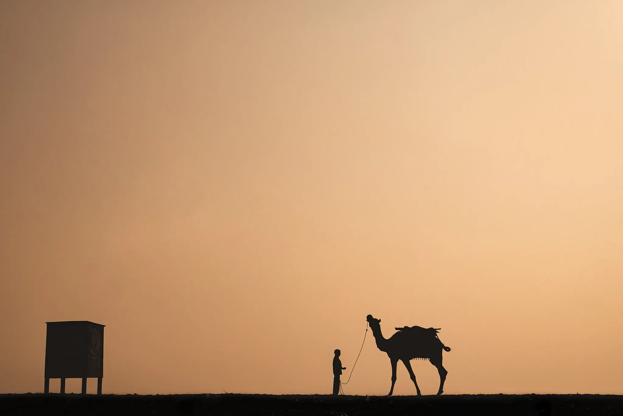 A boy and camel
