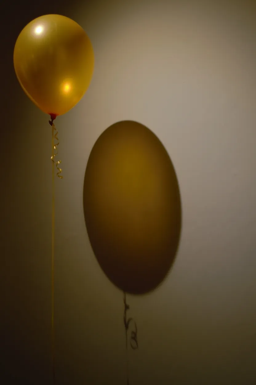 Entry 8627299