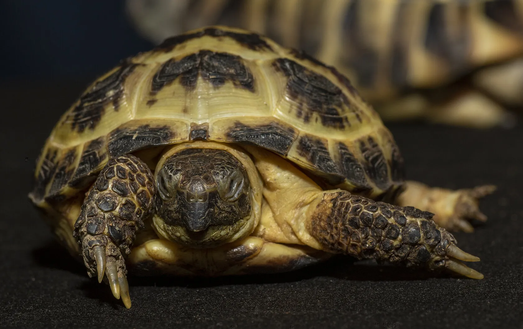 Entry 23702873