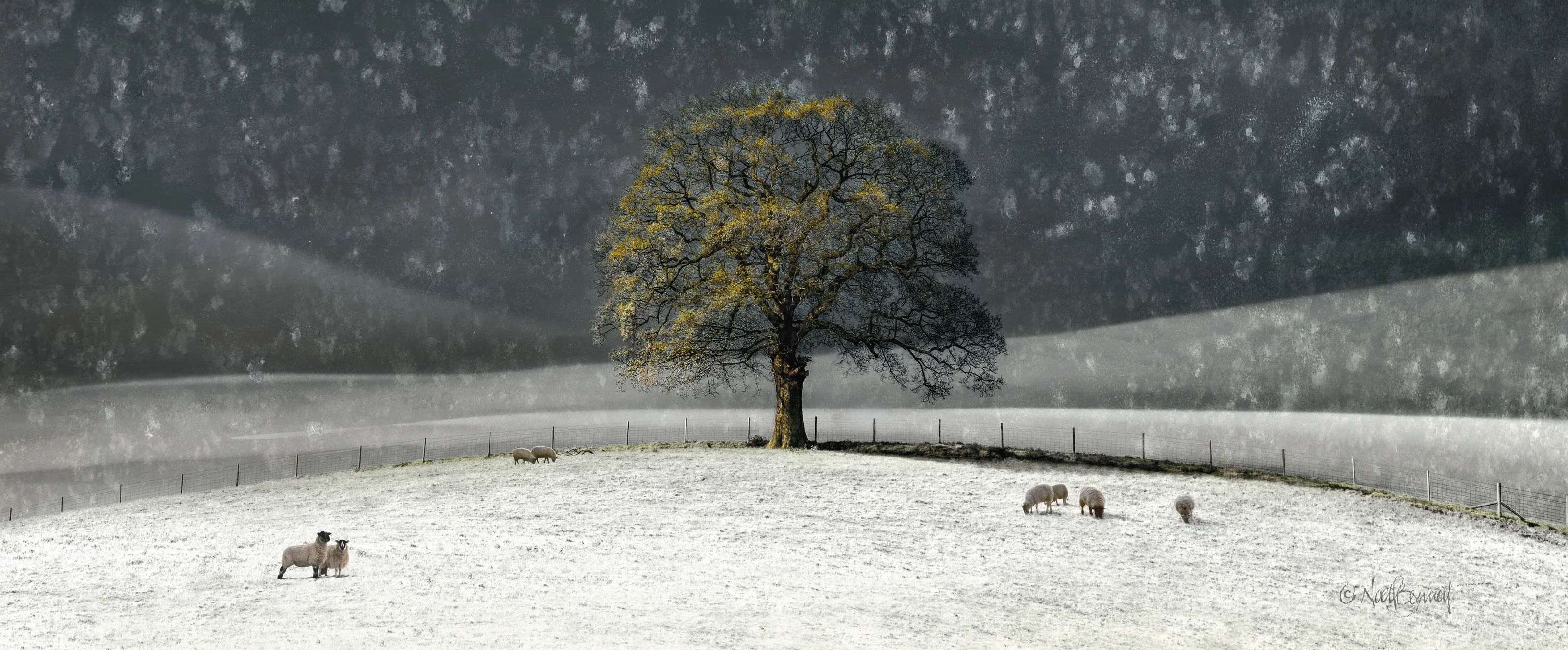Winter Solace (part)