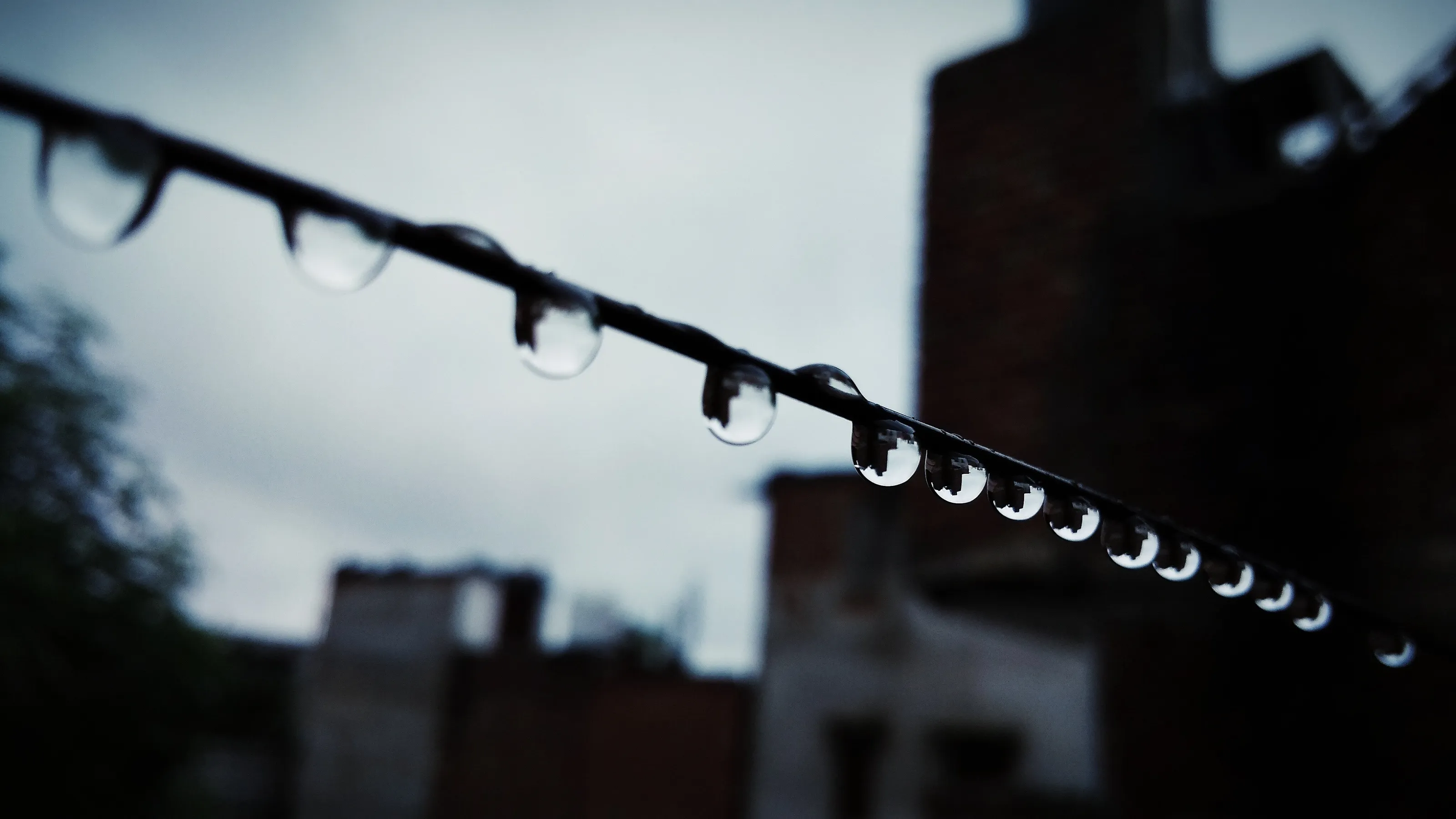 Raindrops