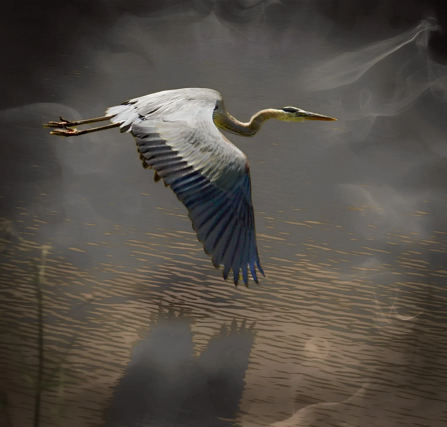 Mystical Heron
