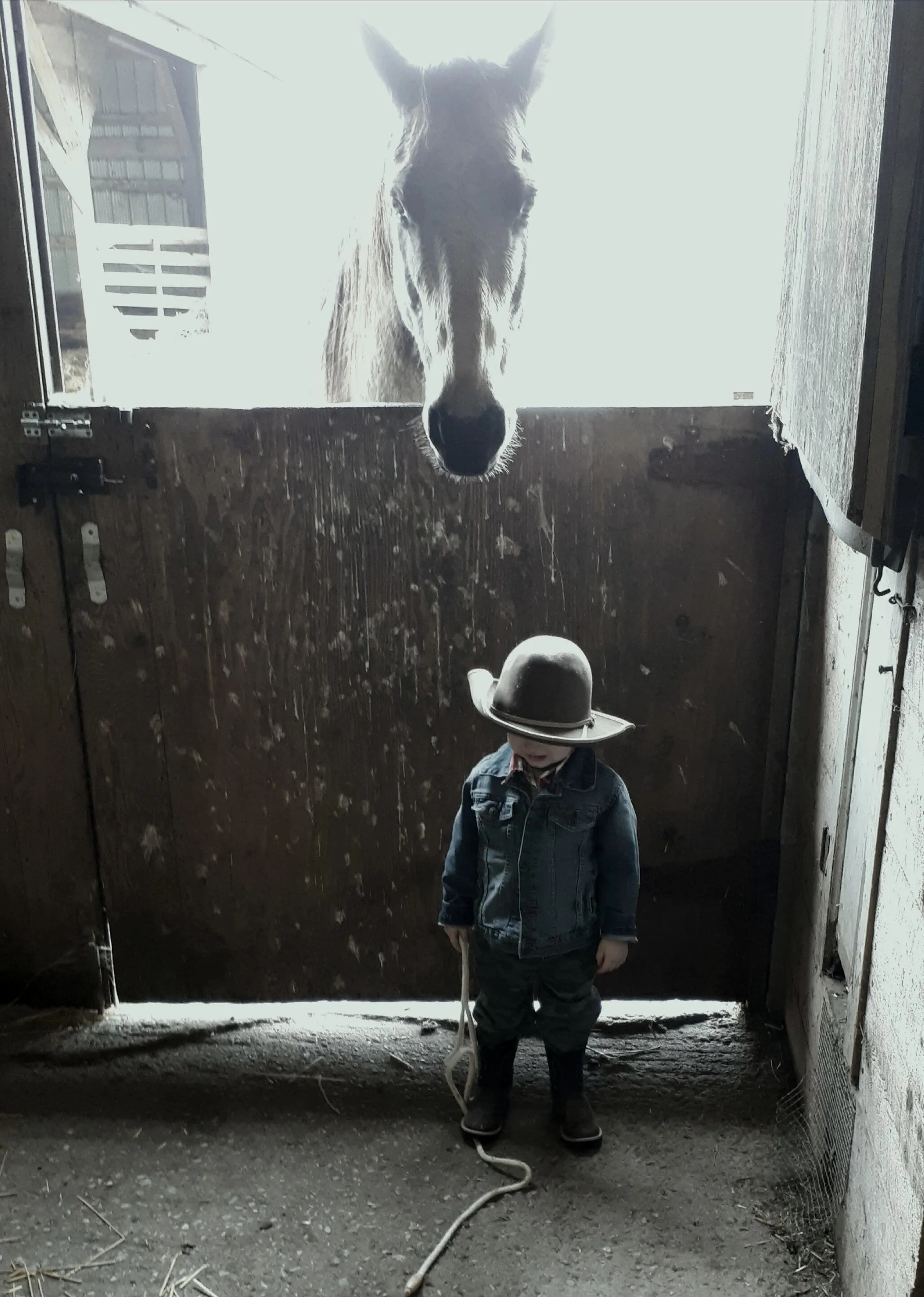 Covid Cowboy