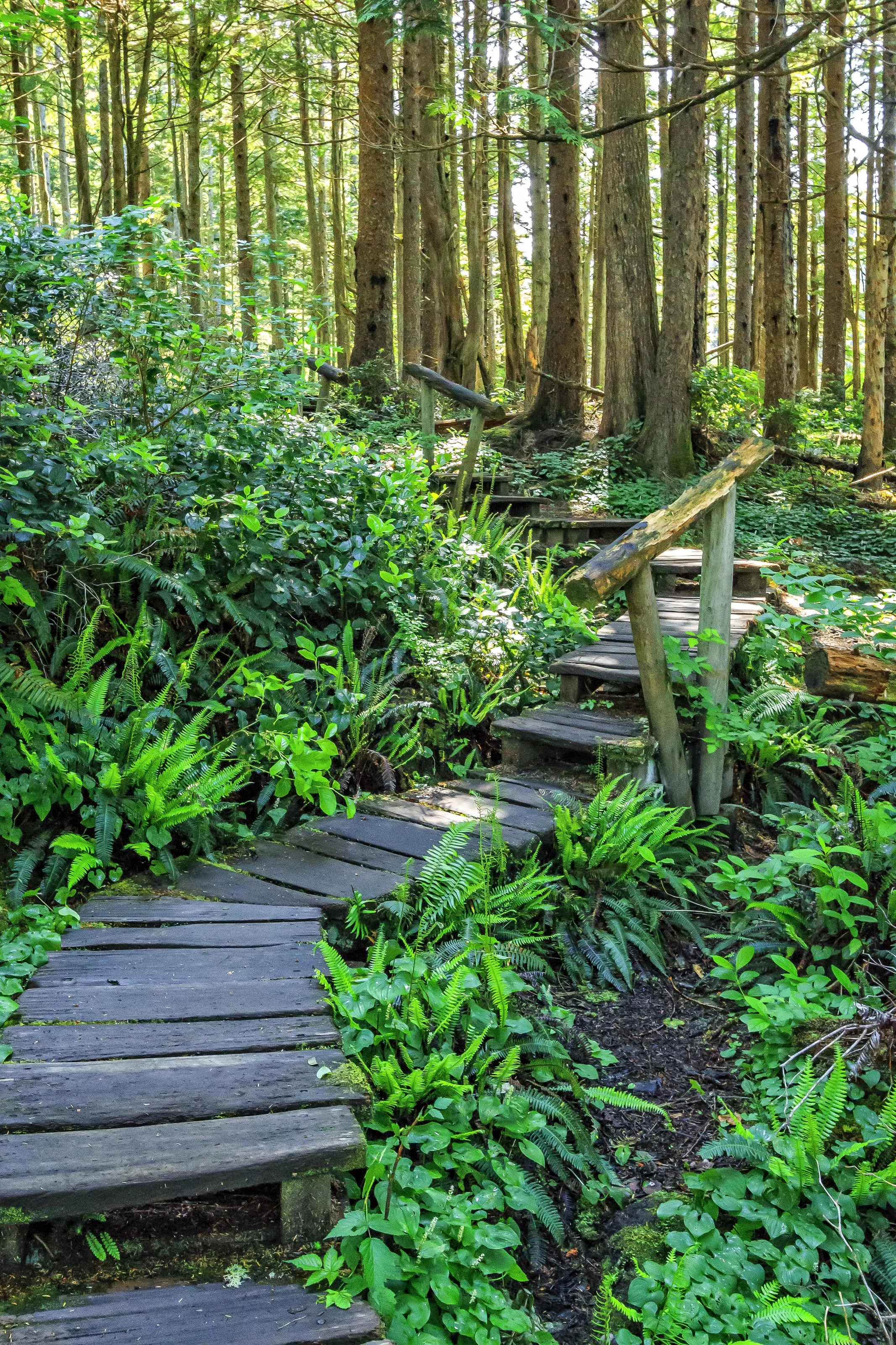 a Walk from Flattery