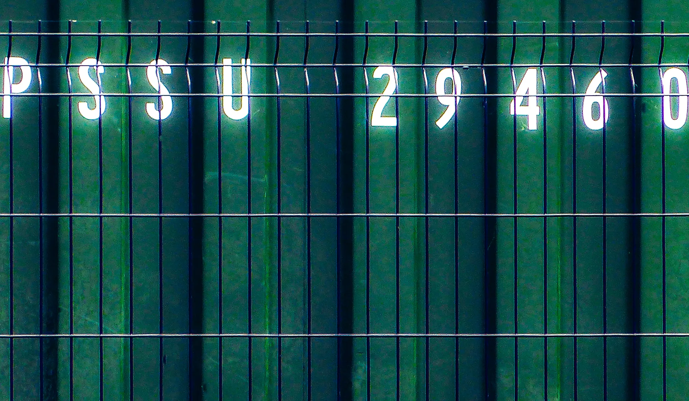 Entry 6619037