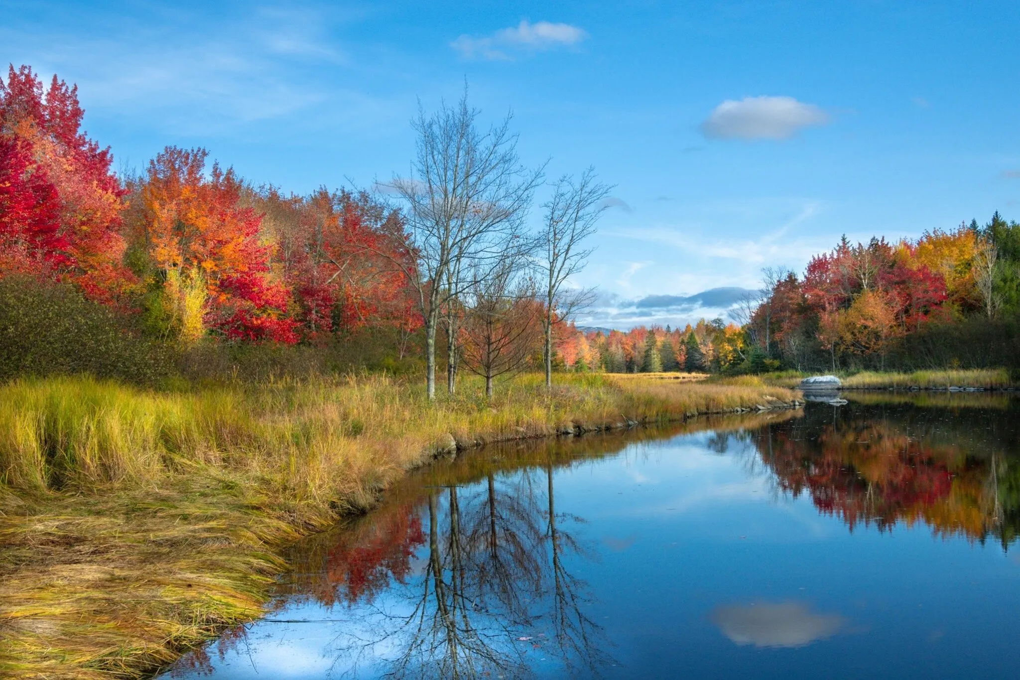Autumn Roadside