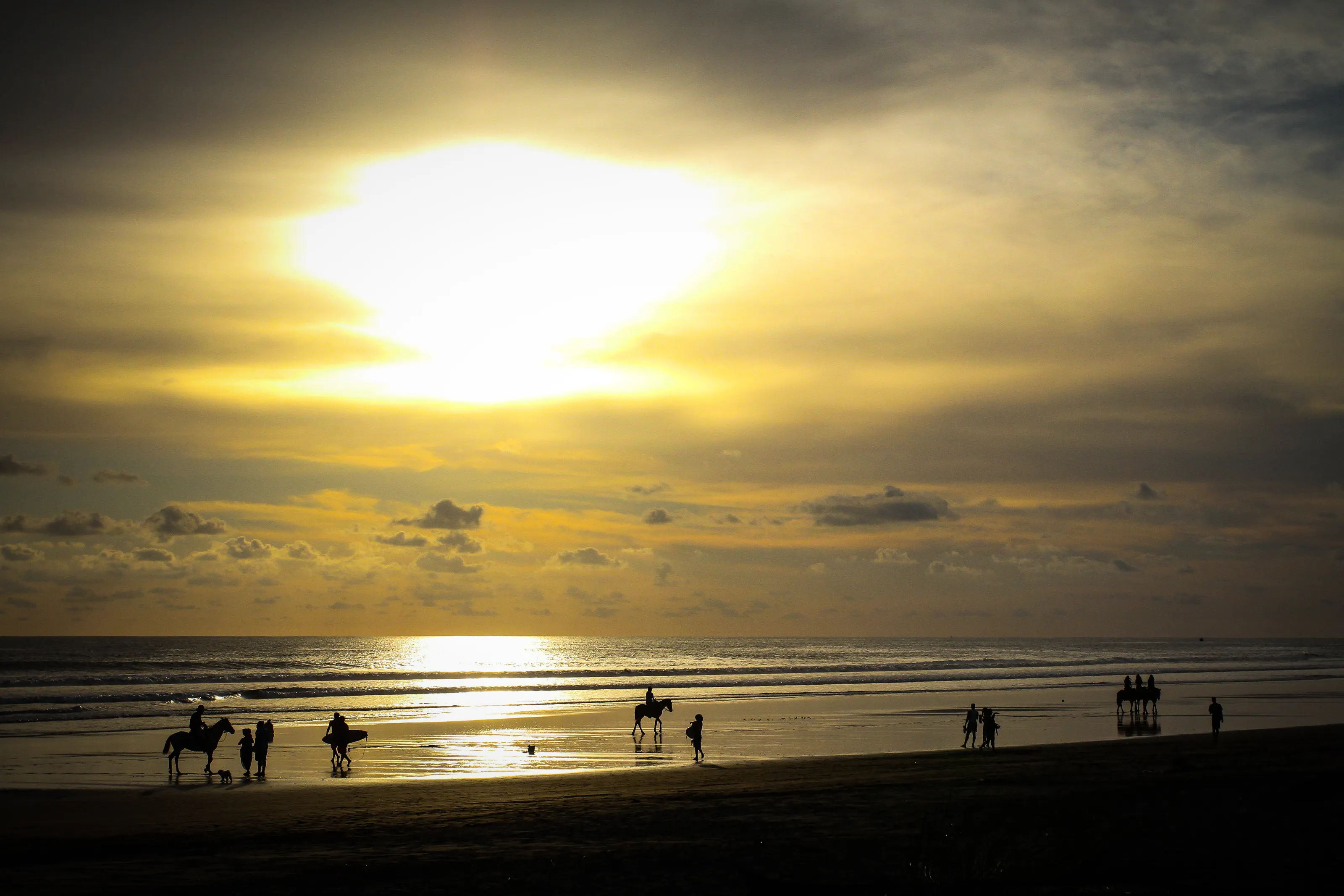 Horses on the beach in Costa Rica