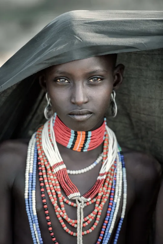 Arbore beauty