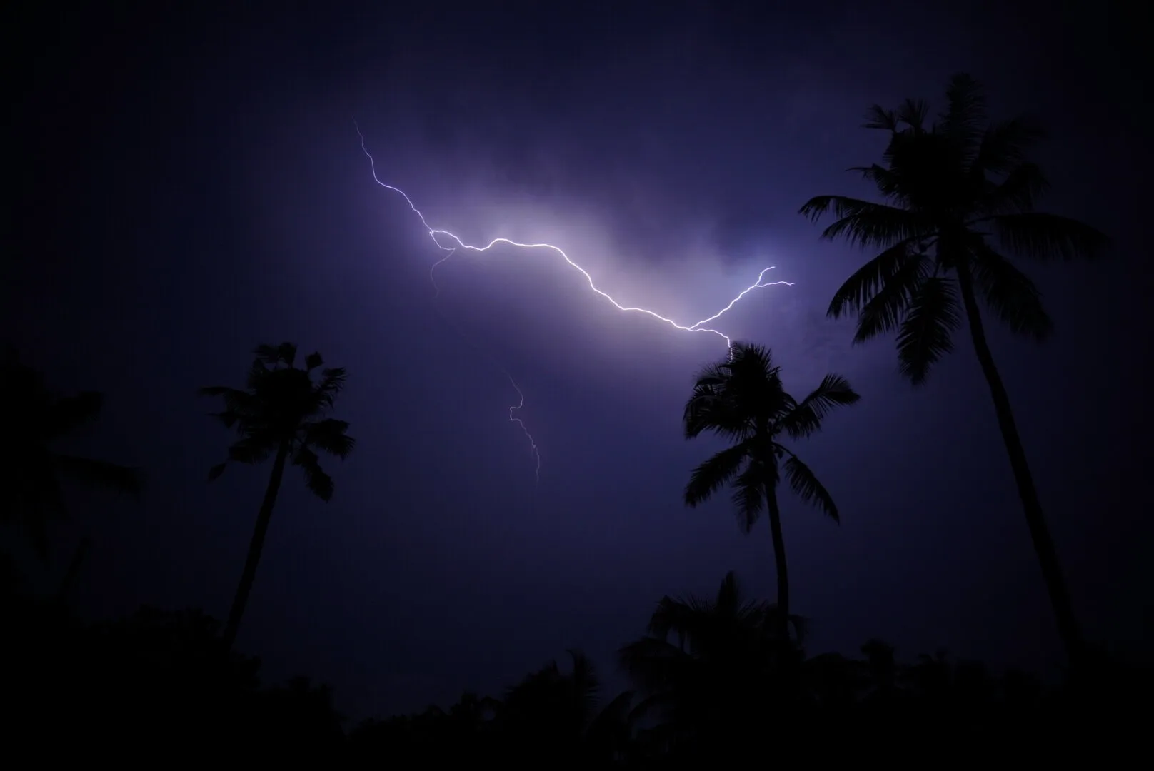 art of nature afterdark