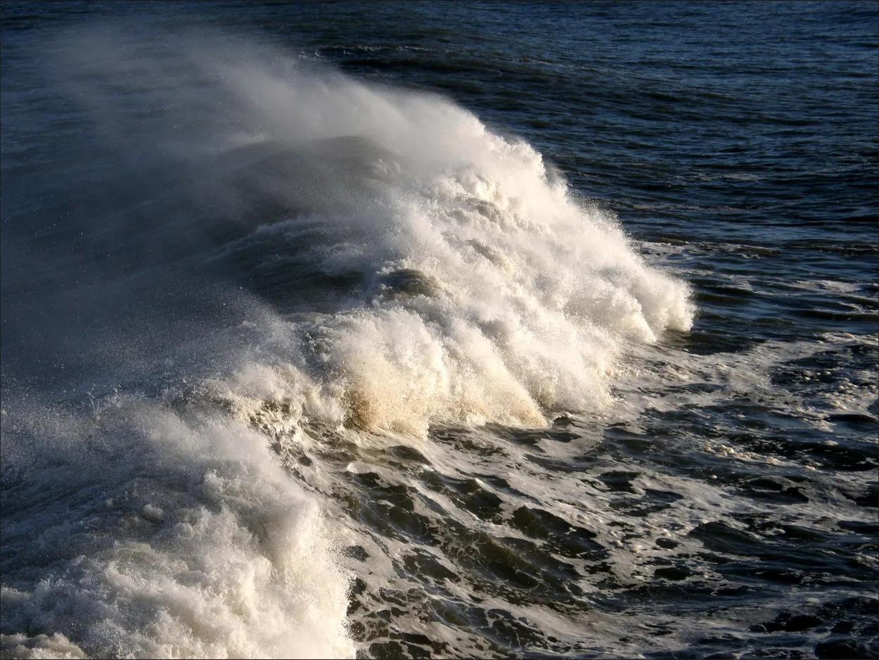 Entry 13676728
