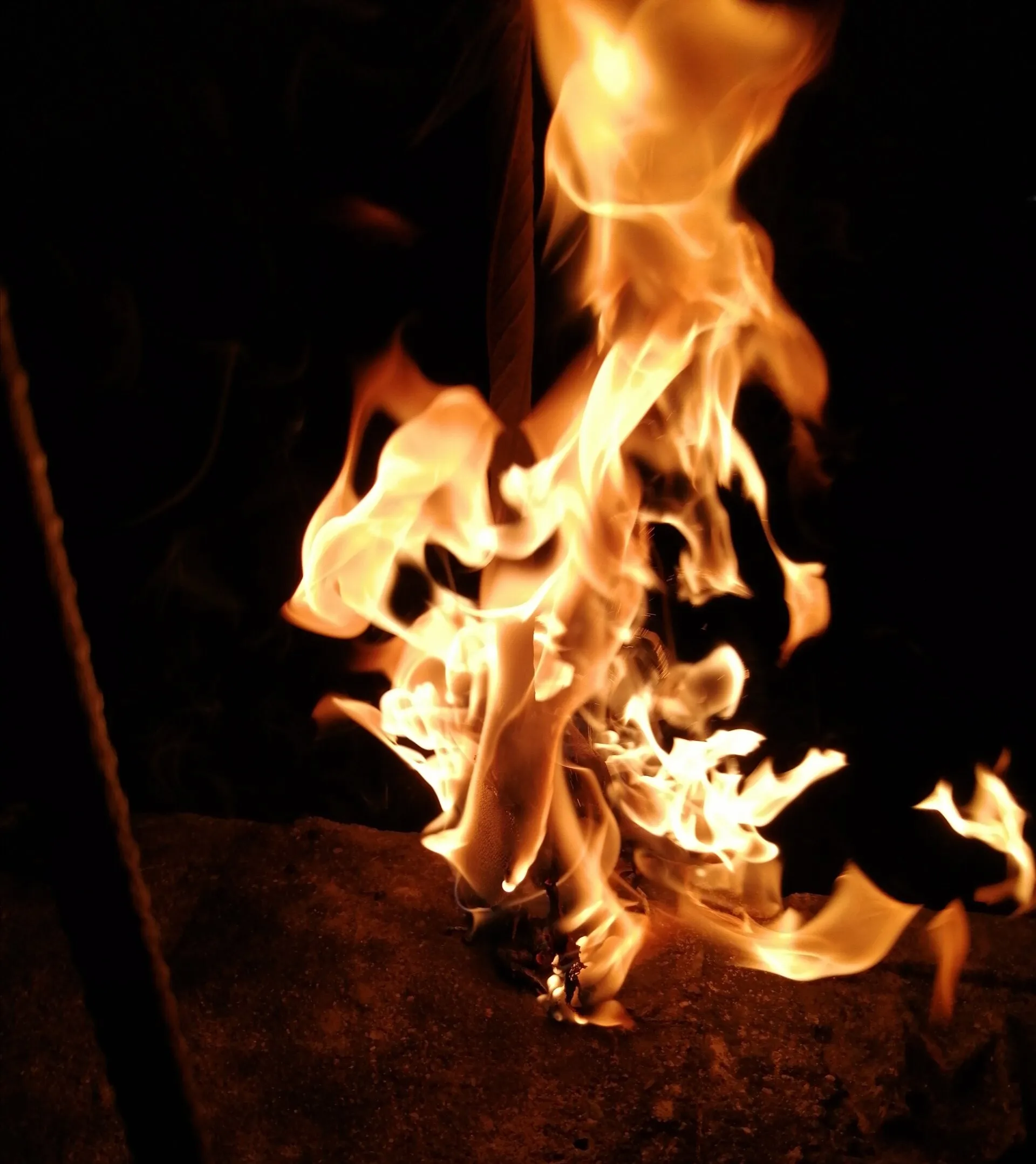Banner image
