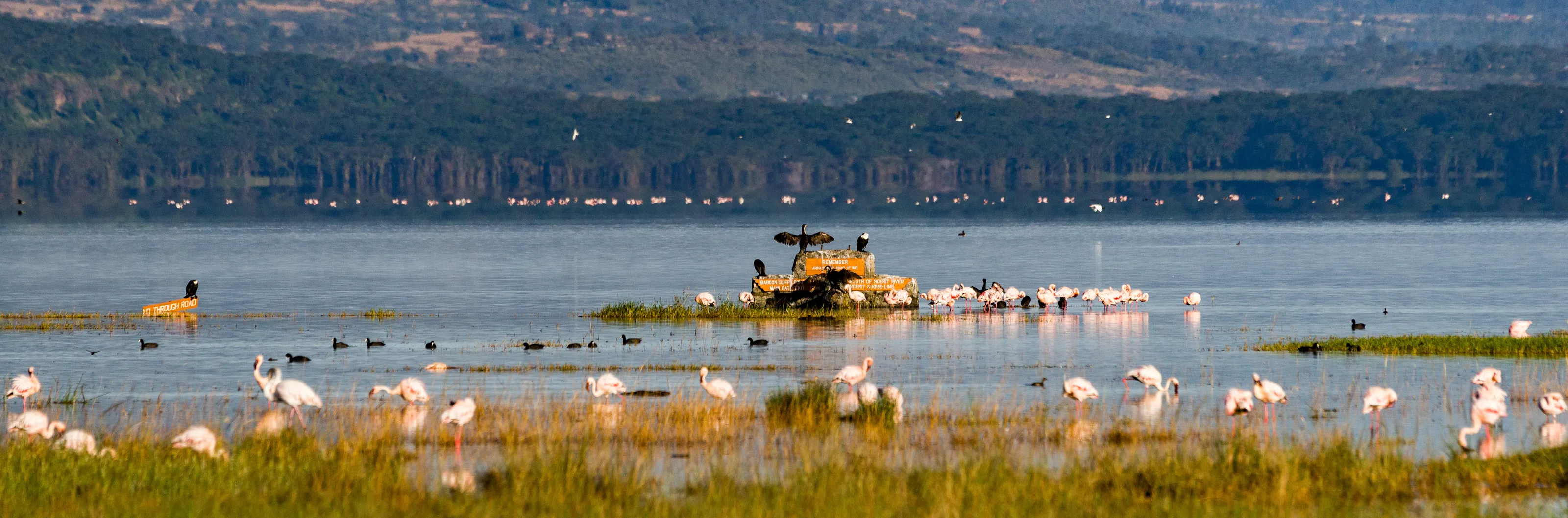 LAKE NAKURU IN FLOOD