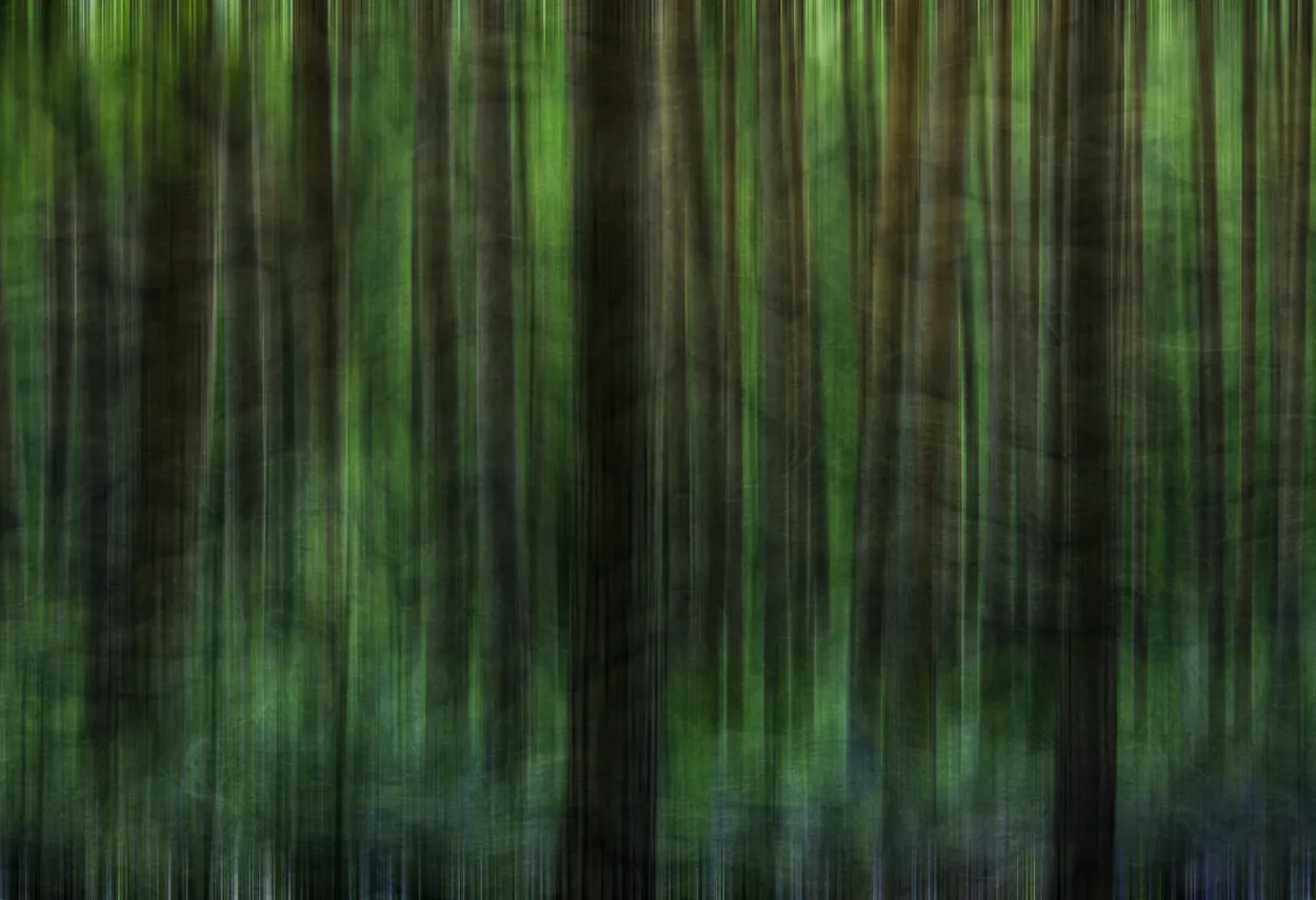 Entry 6260711