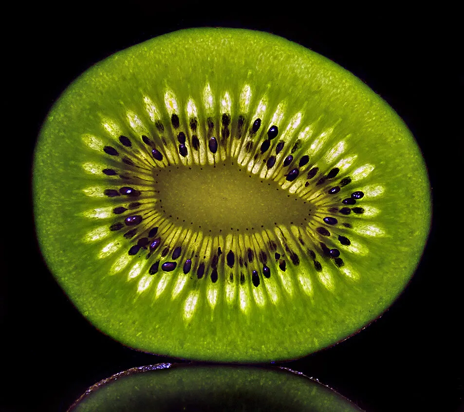 Kiwi - often seen, seldom noticed.