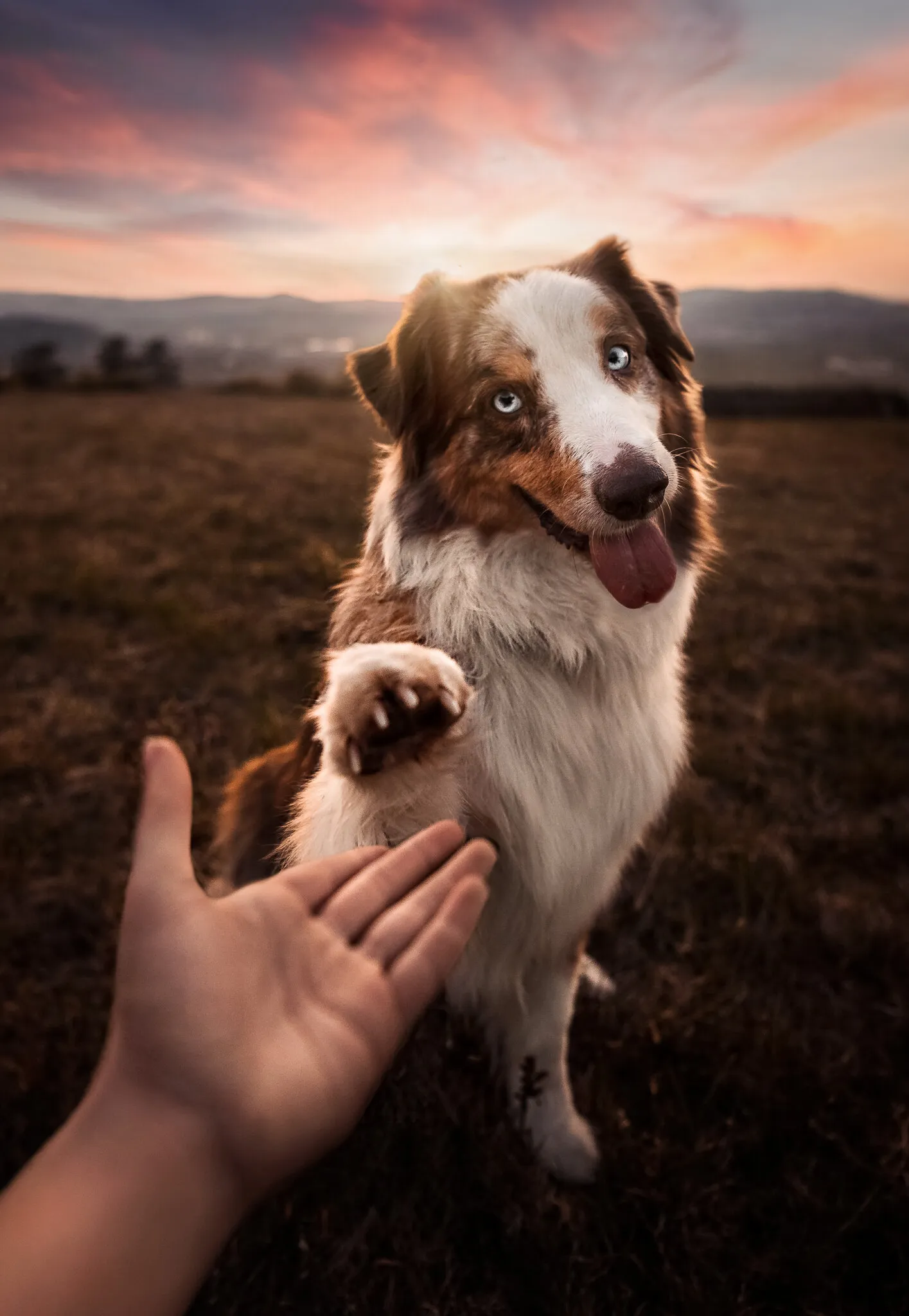 Give me five, my buddy