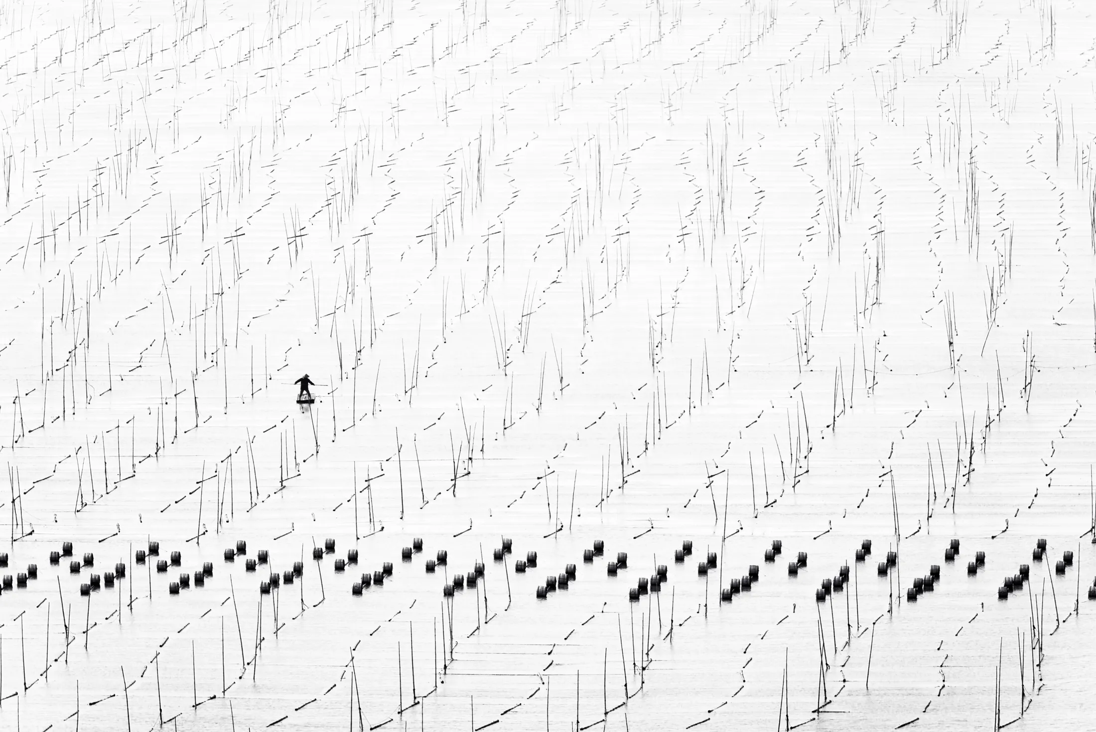 Lone Worker