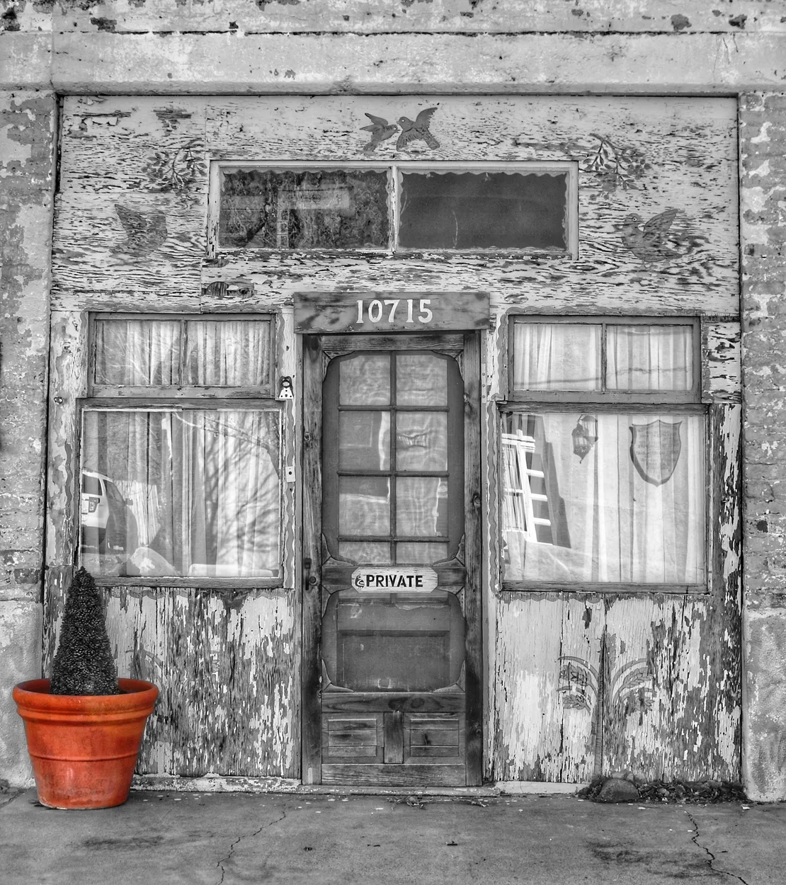 Entry 14045662