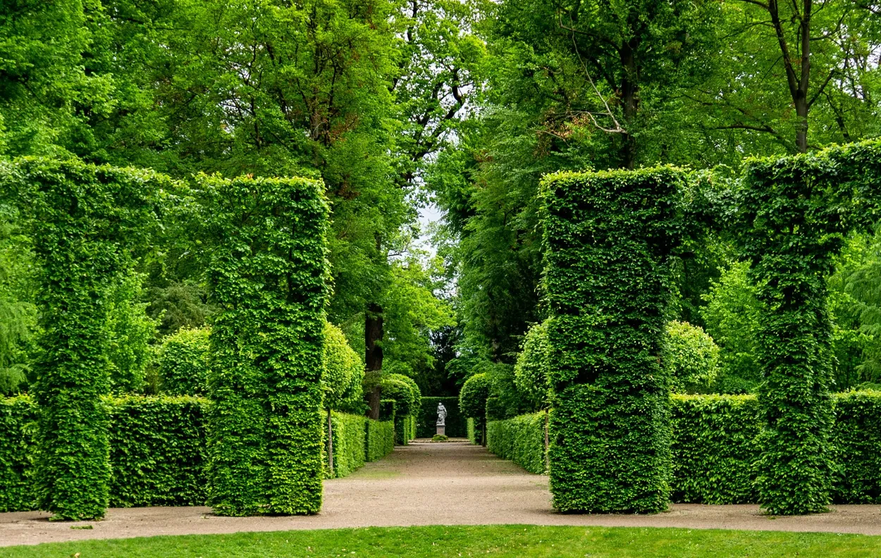 Entry 6252820