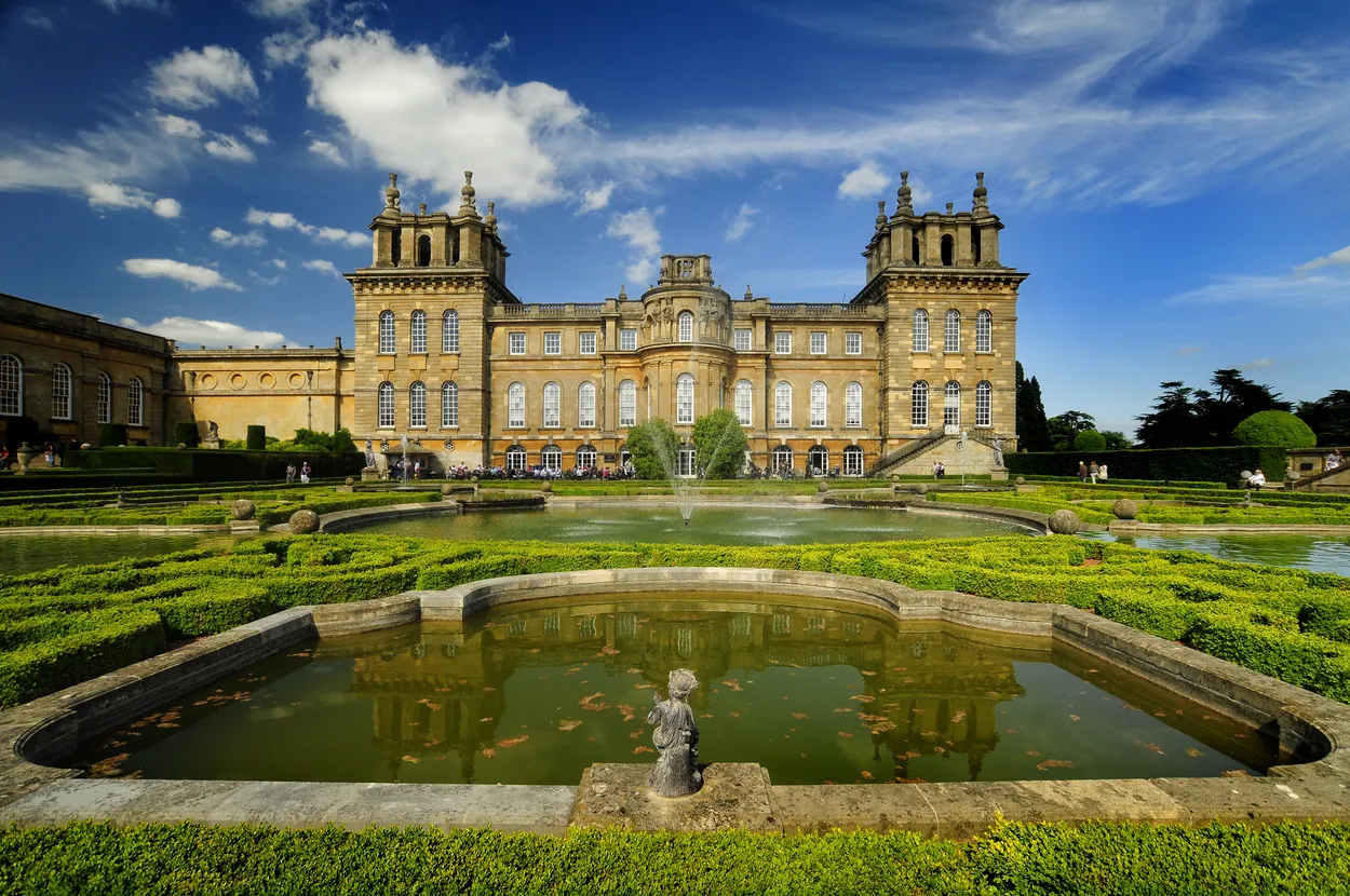 Entry 11631307