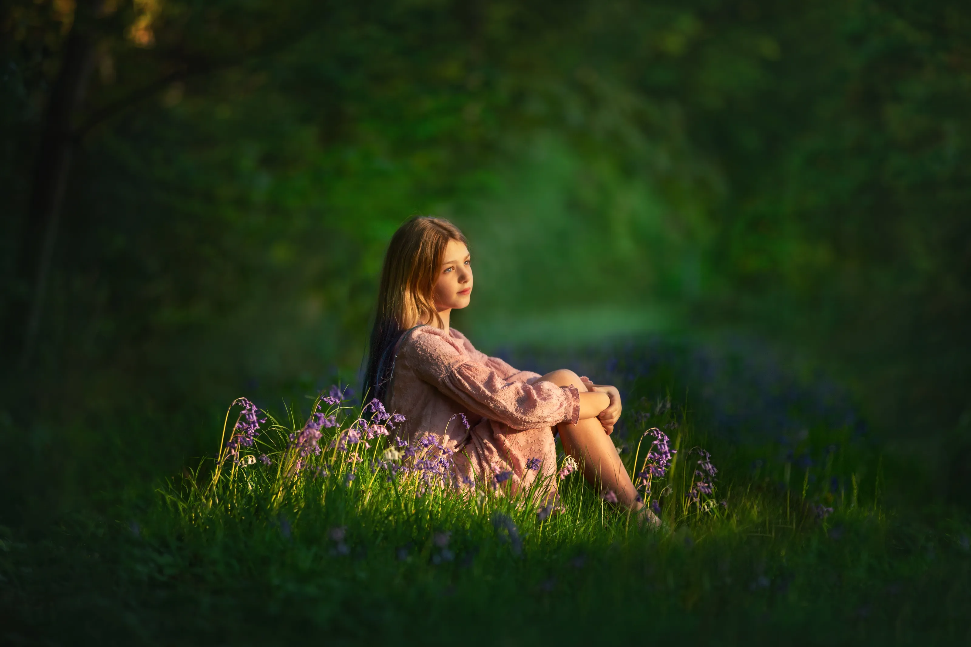 Evening in the bluebells