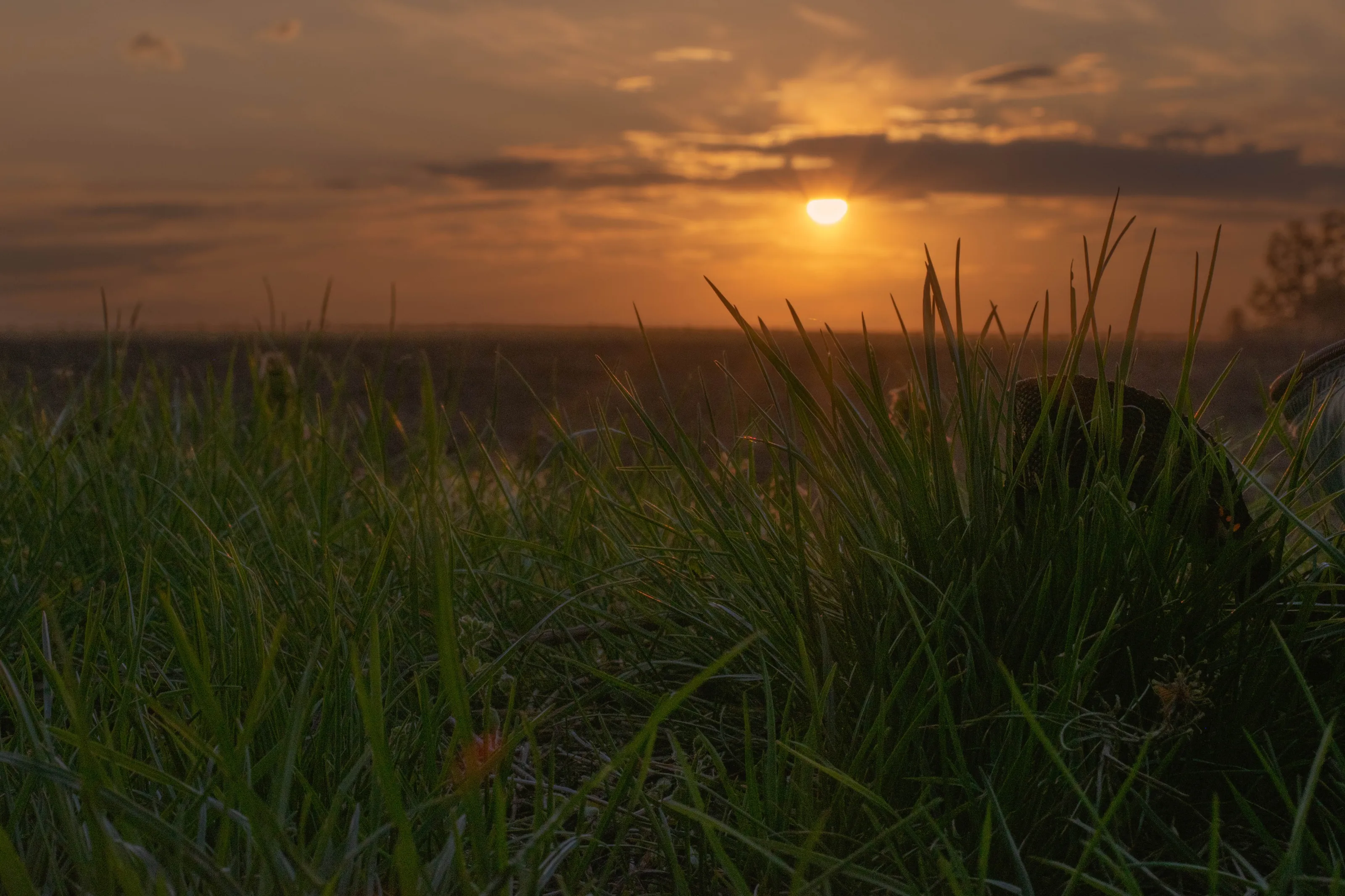 Pretty sunfall