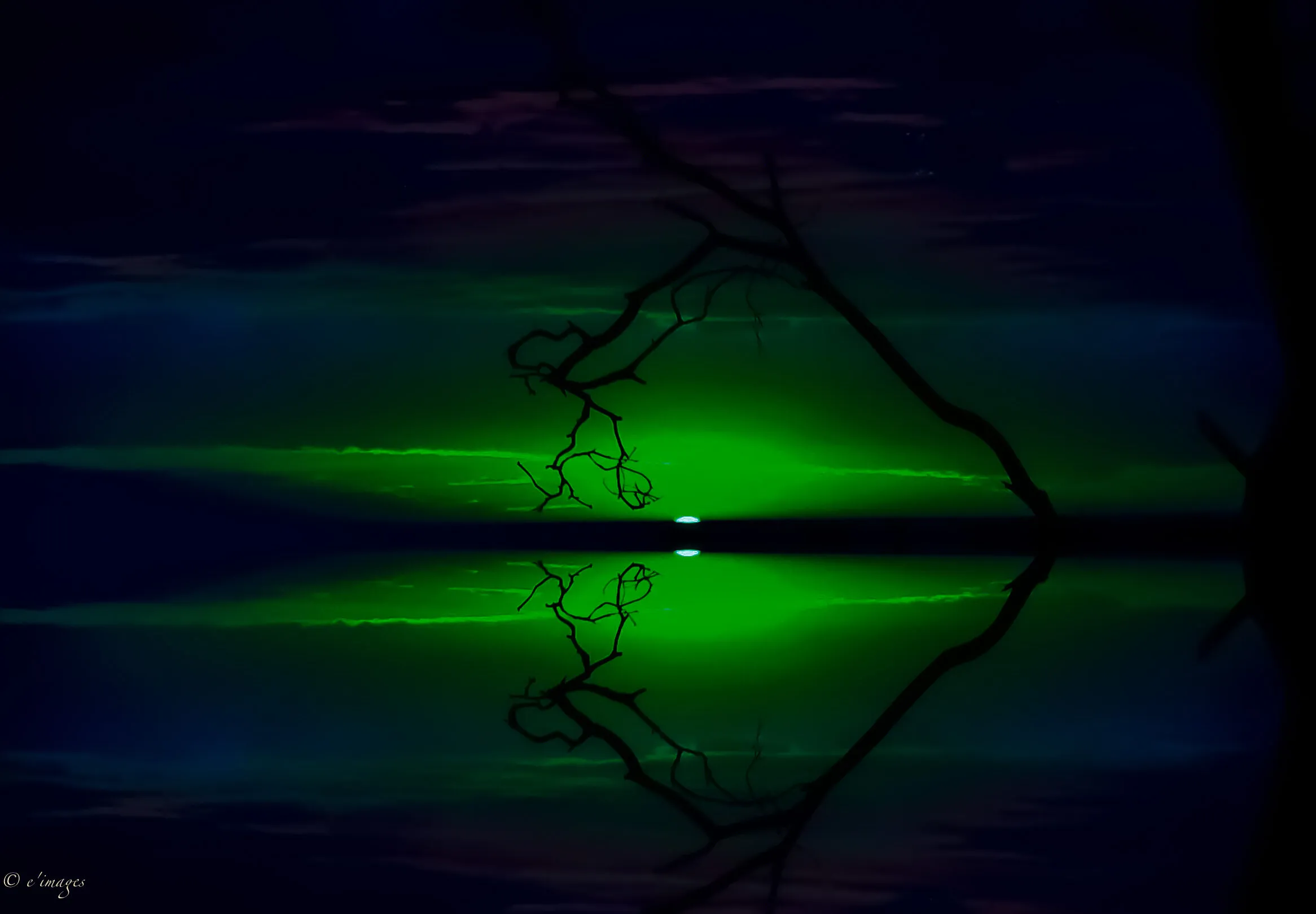 In the Dark