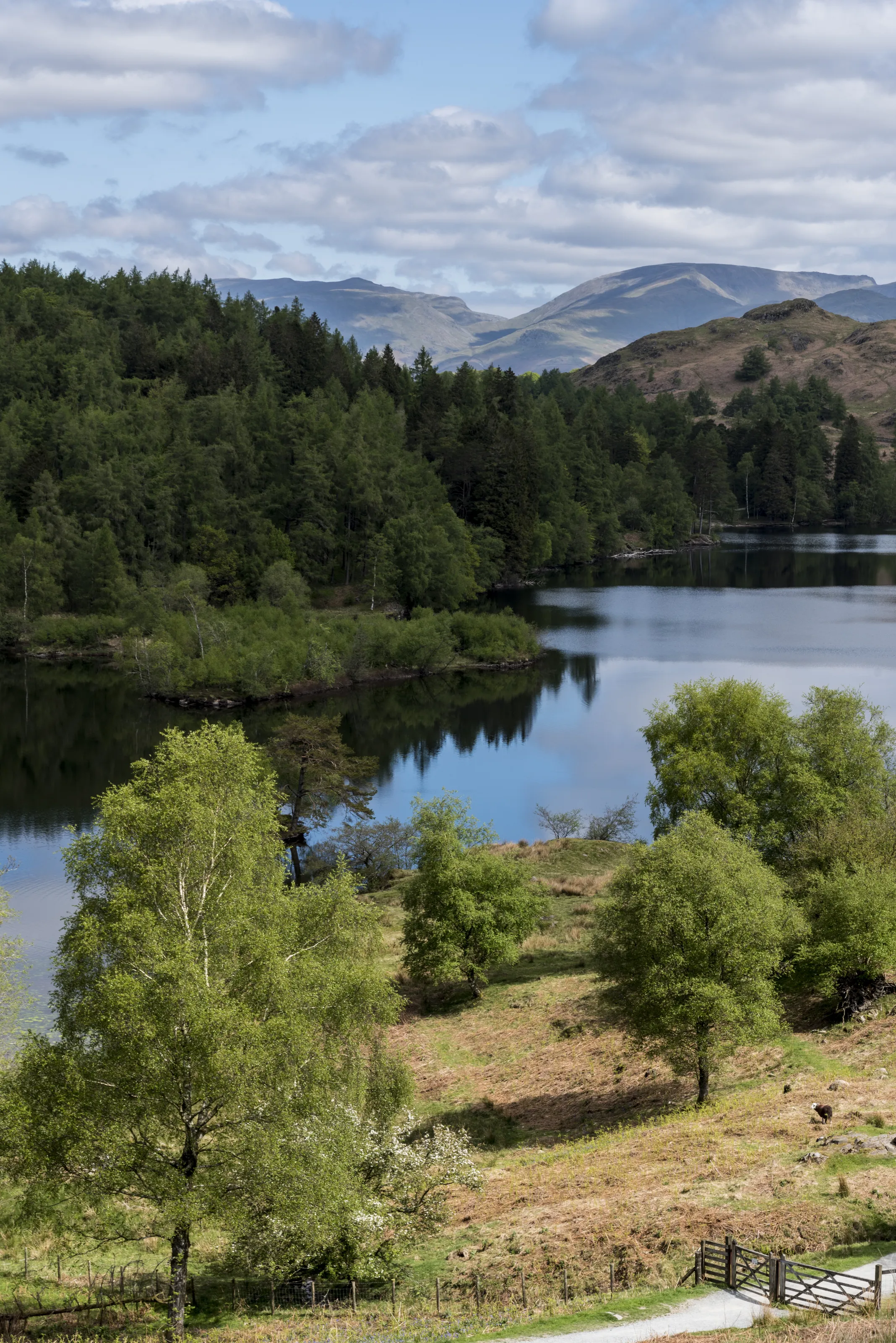 Lake district