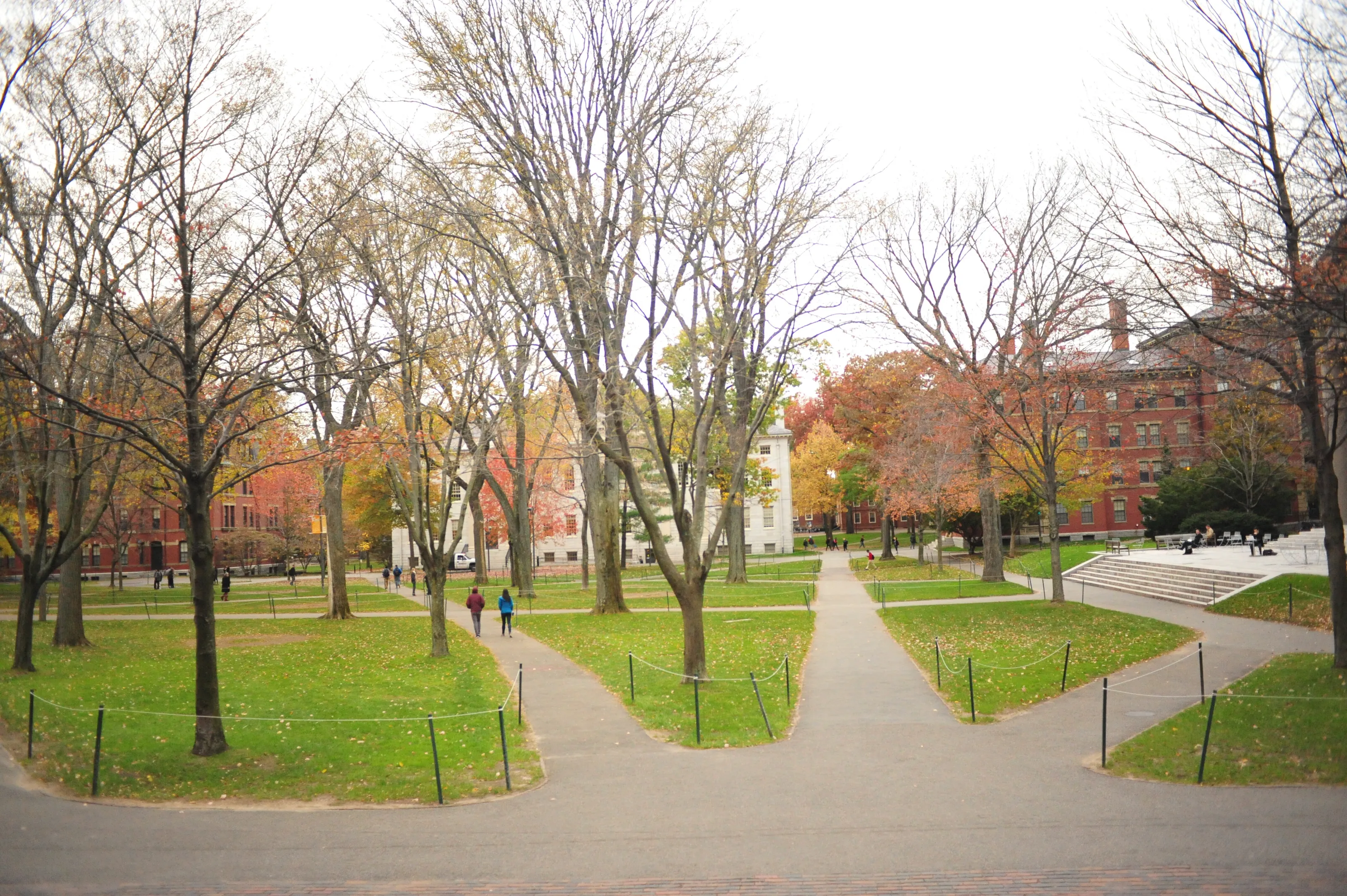 View at the Harvard University