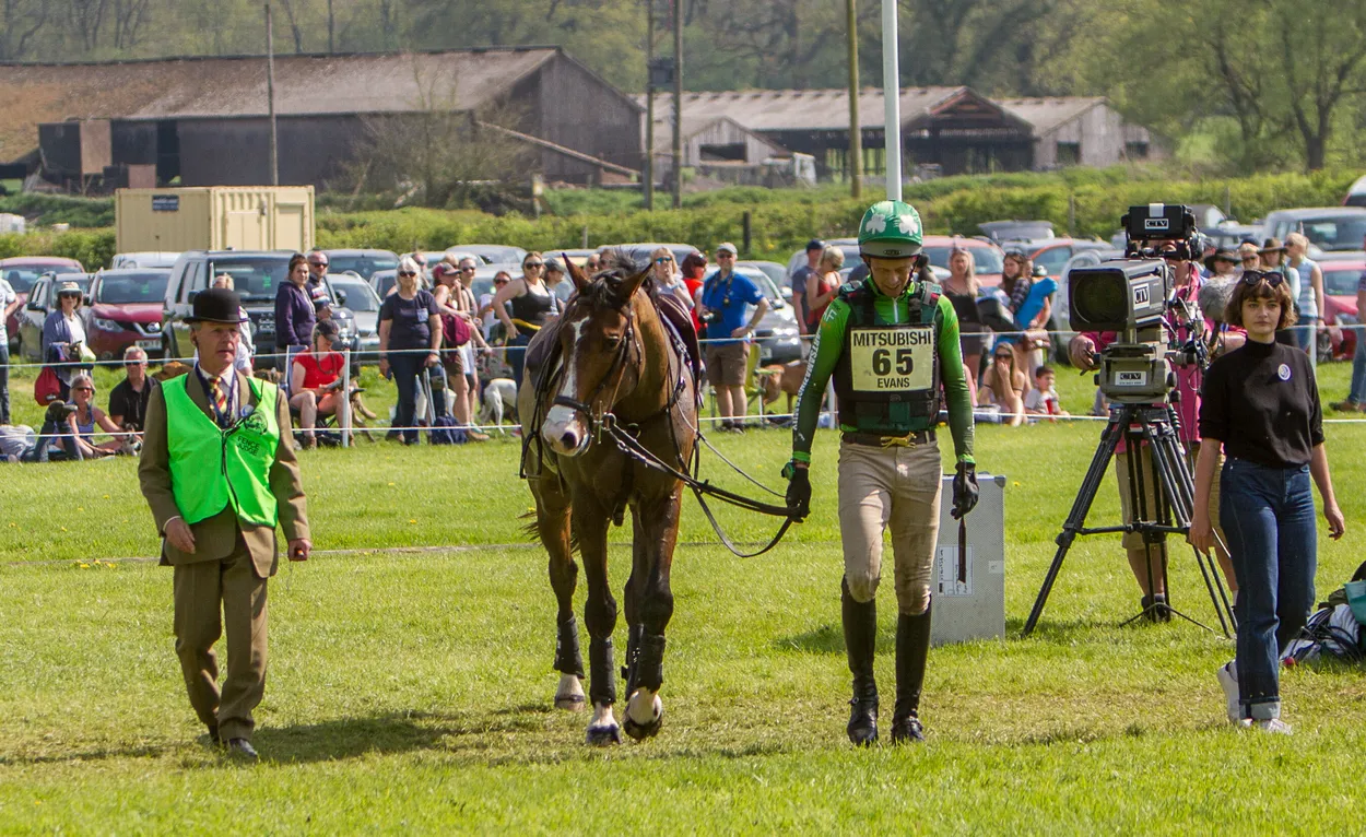Entry 11293144