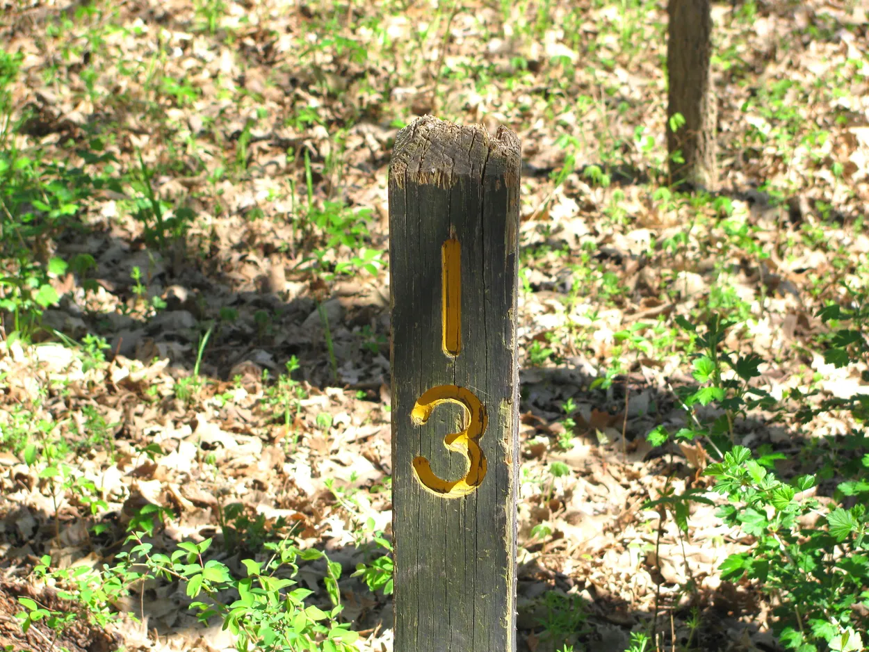 Entry 6513605