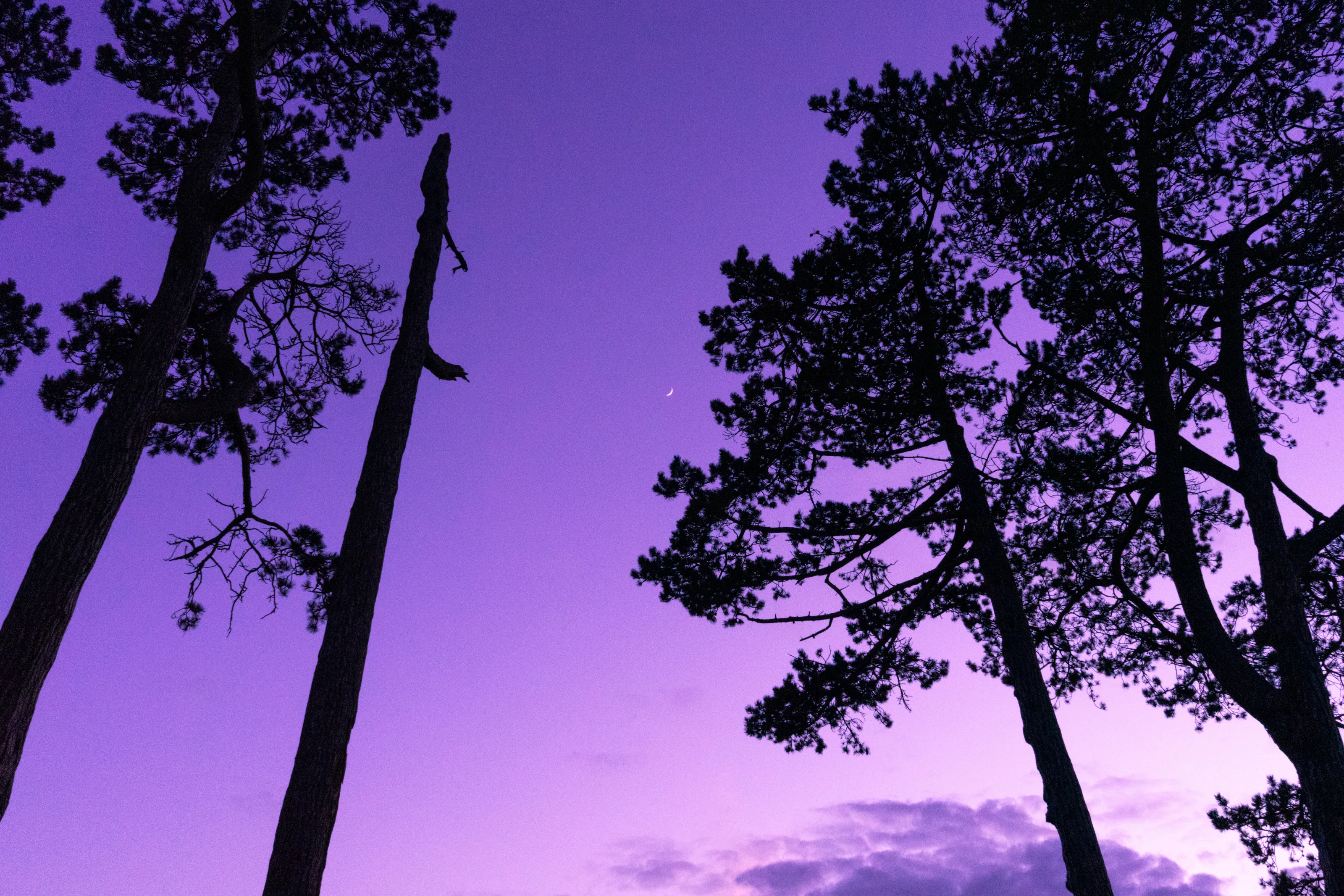 Twilight