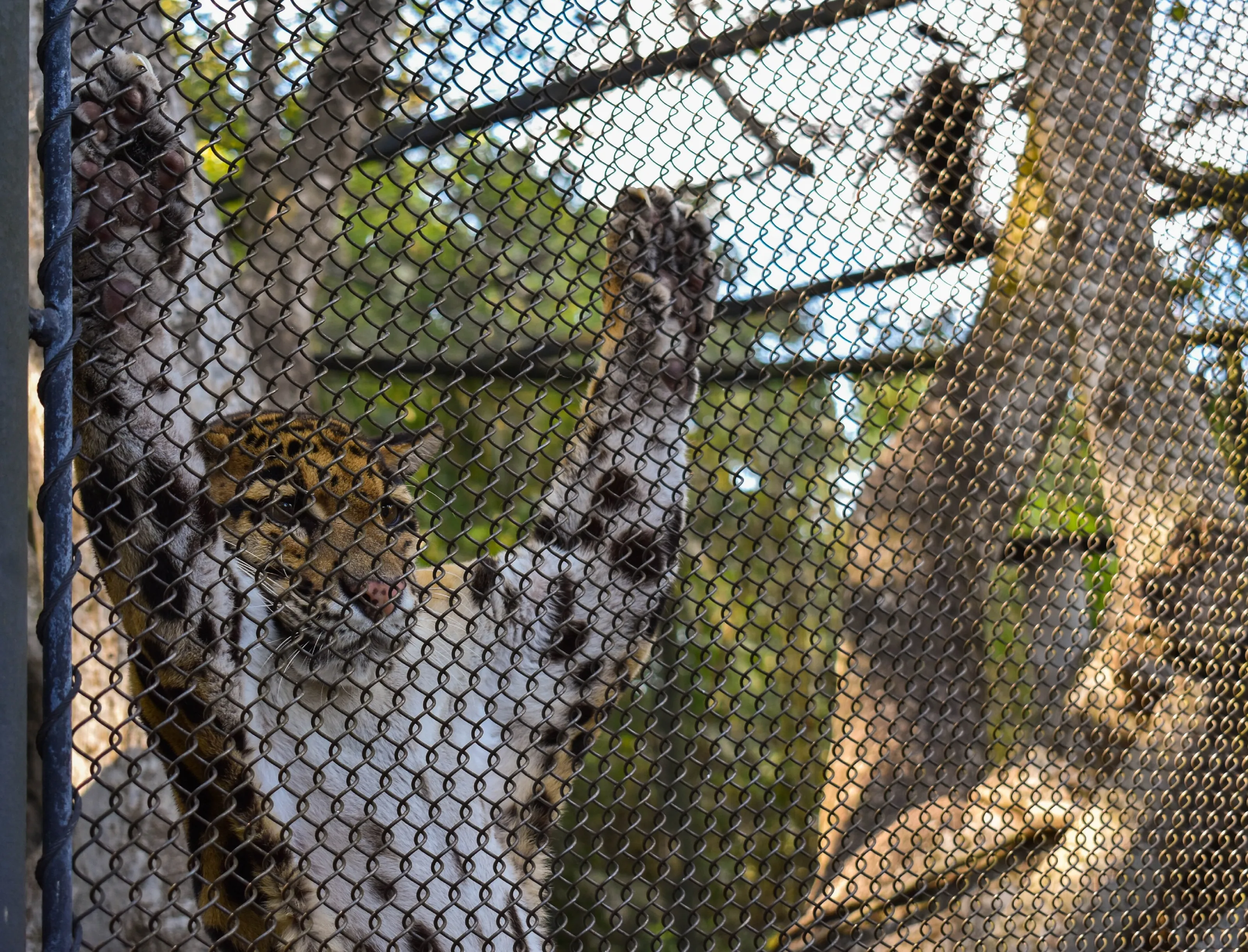 Let me out