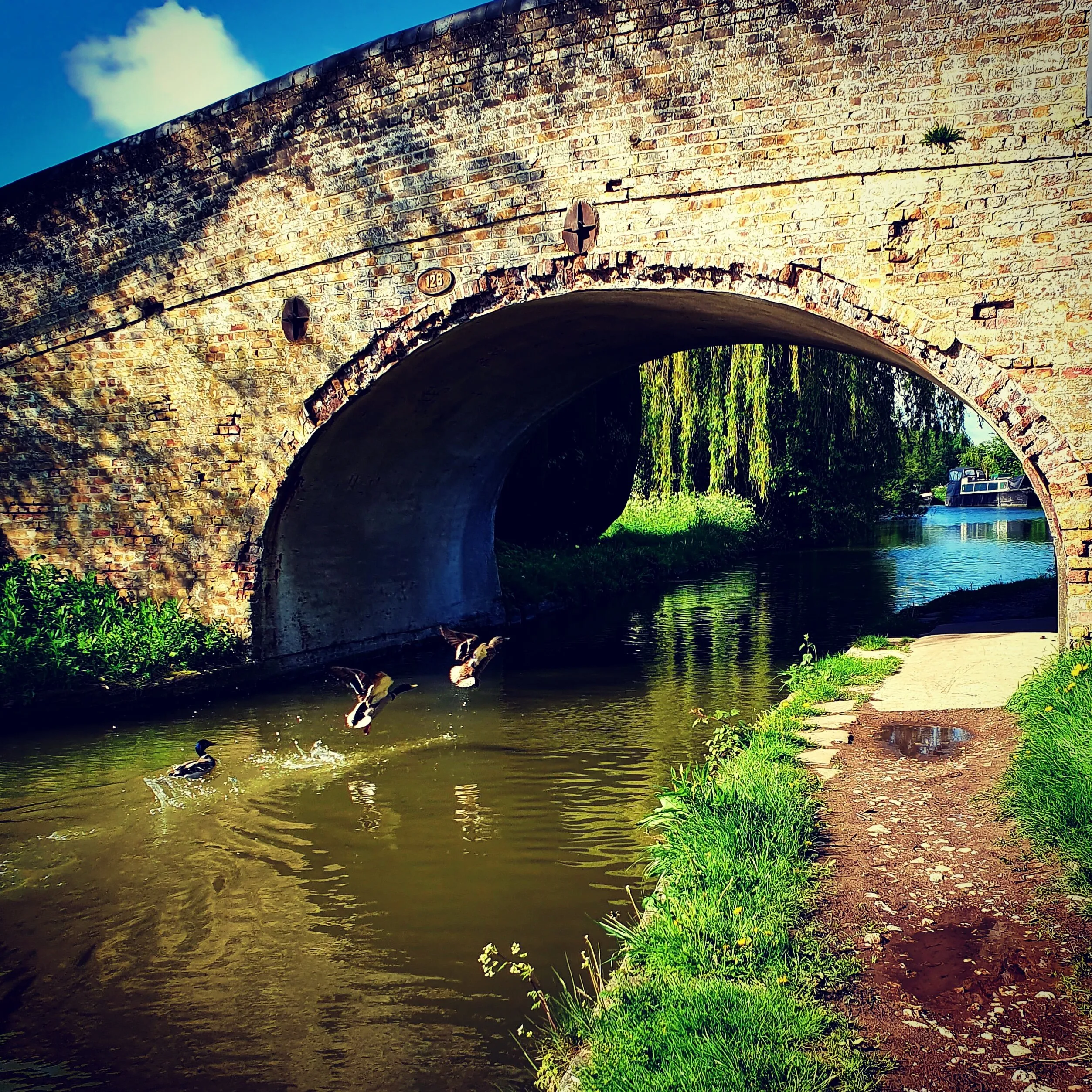 Ducks flying towards bridge