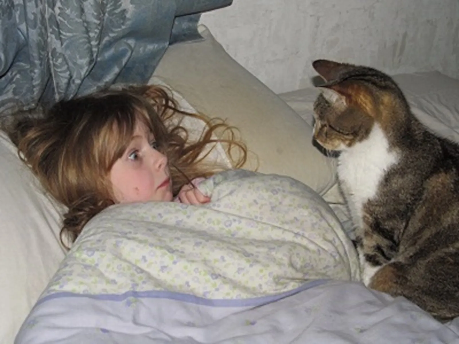 Put in her place by the cat