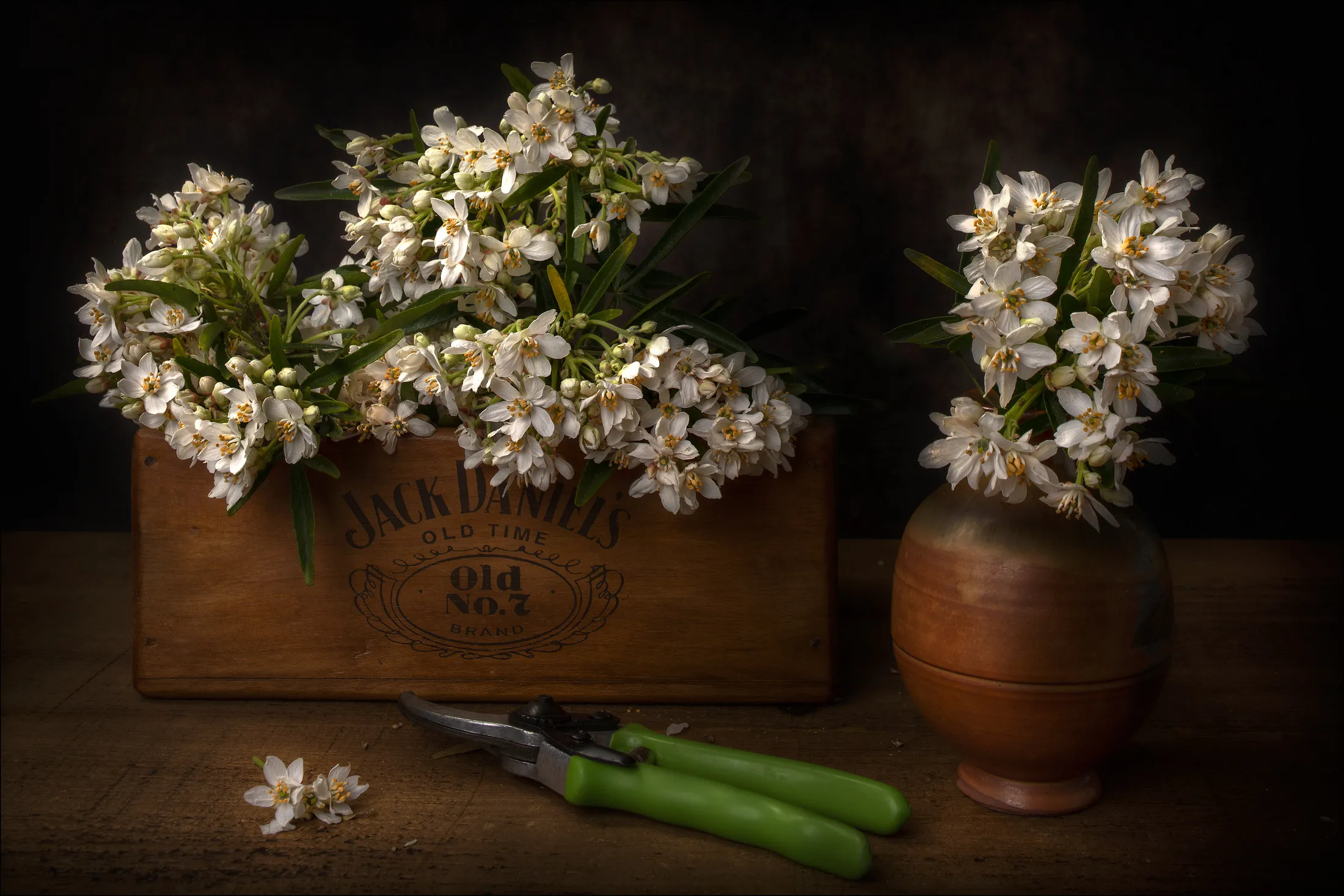 Harvesting Blossom