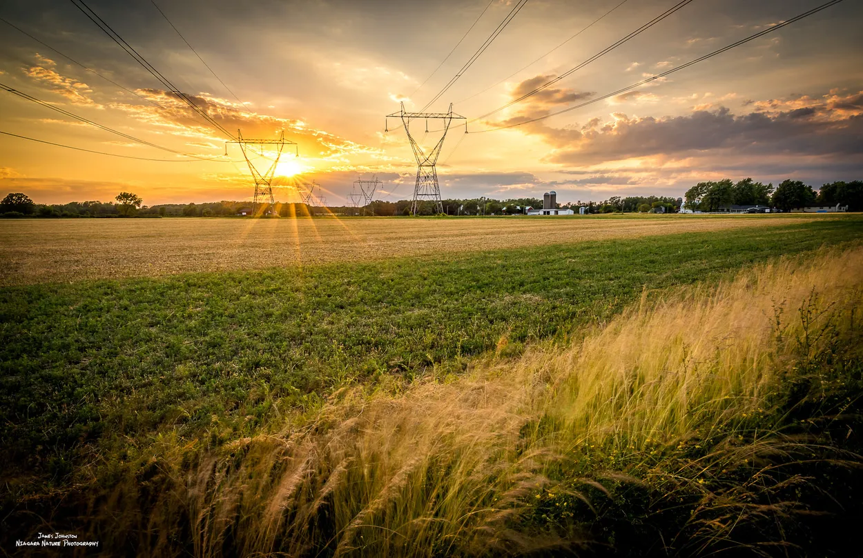 Entry 6325885