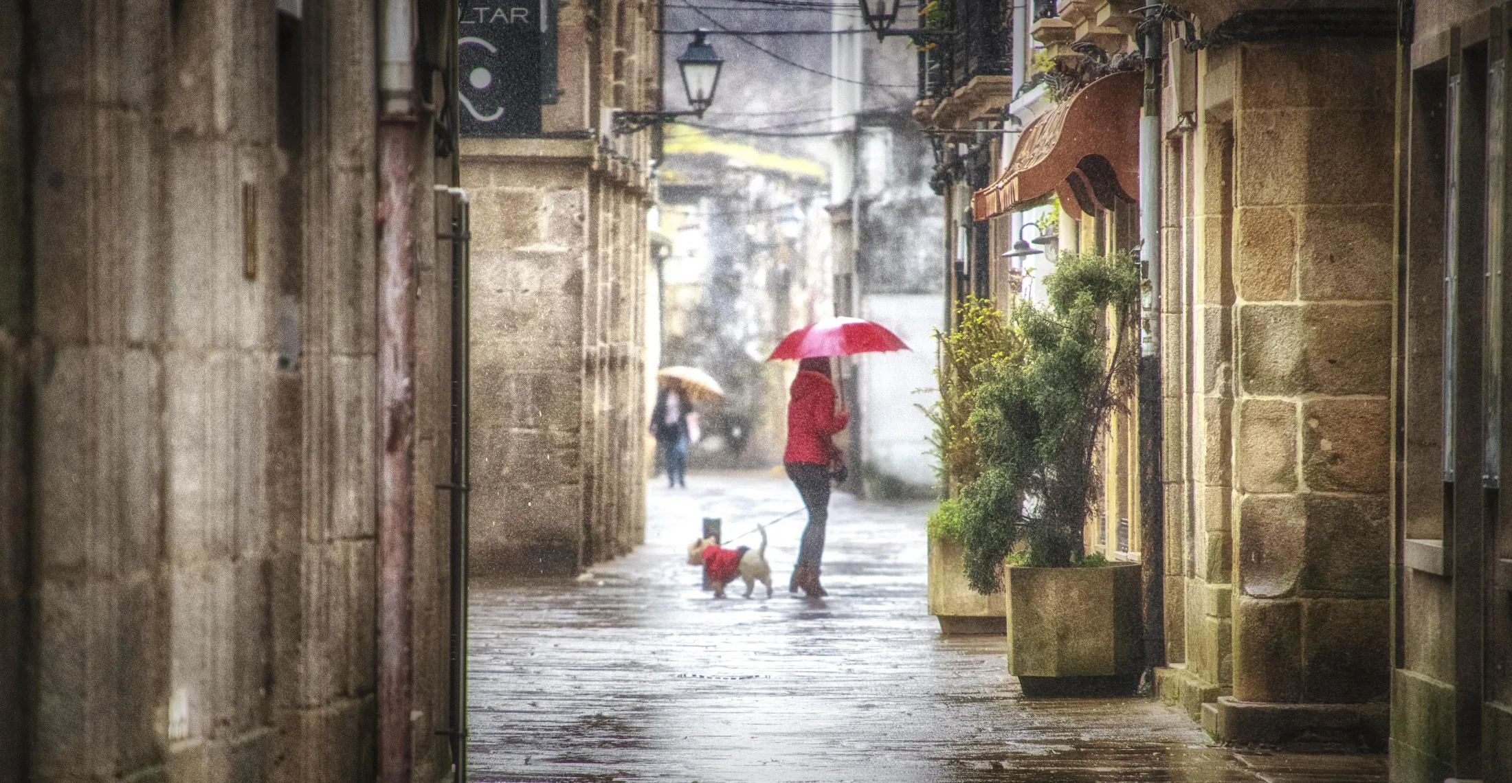 Entry 6344969