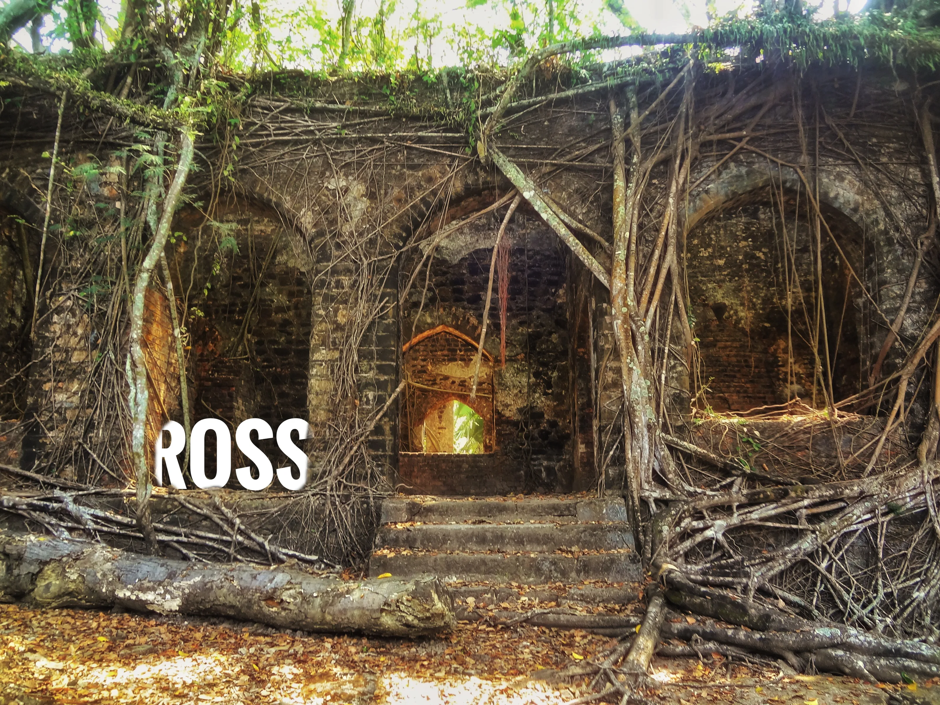 Banner image