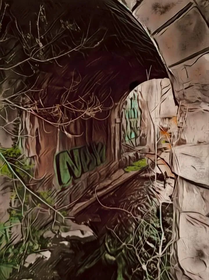 Entry 9780641