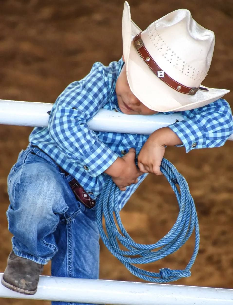 Entry 19367240