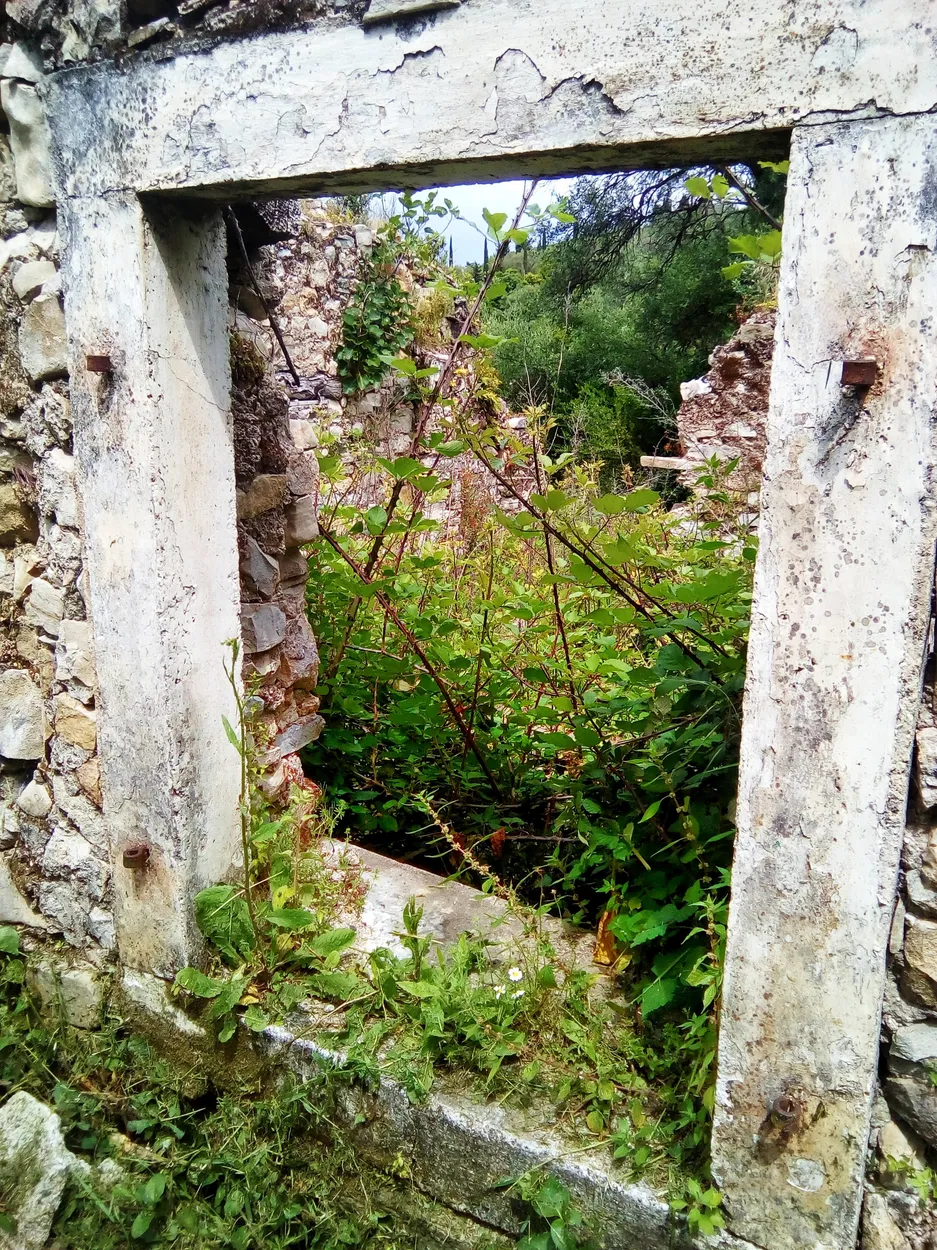 Entry 6361400