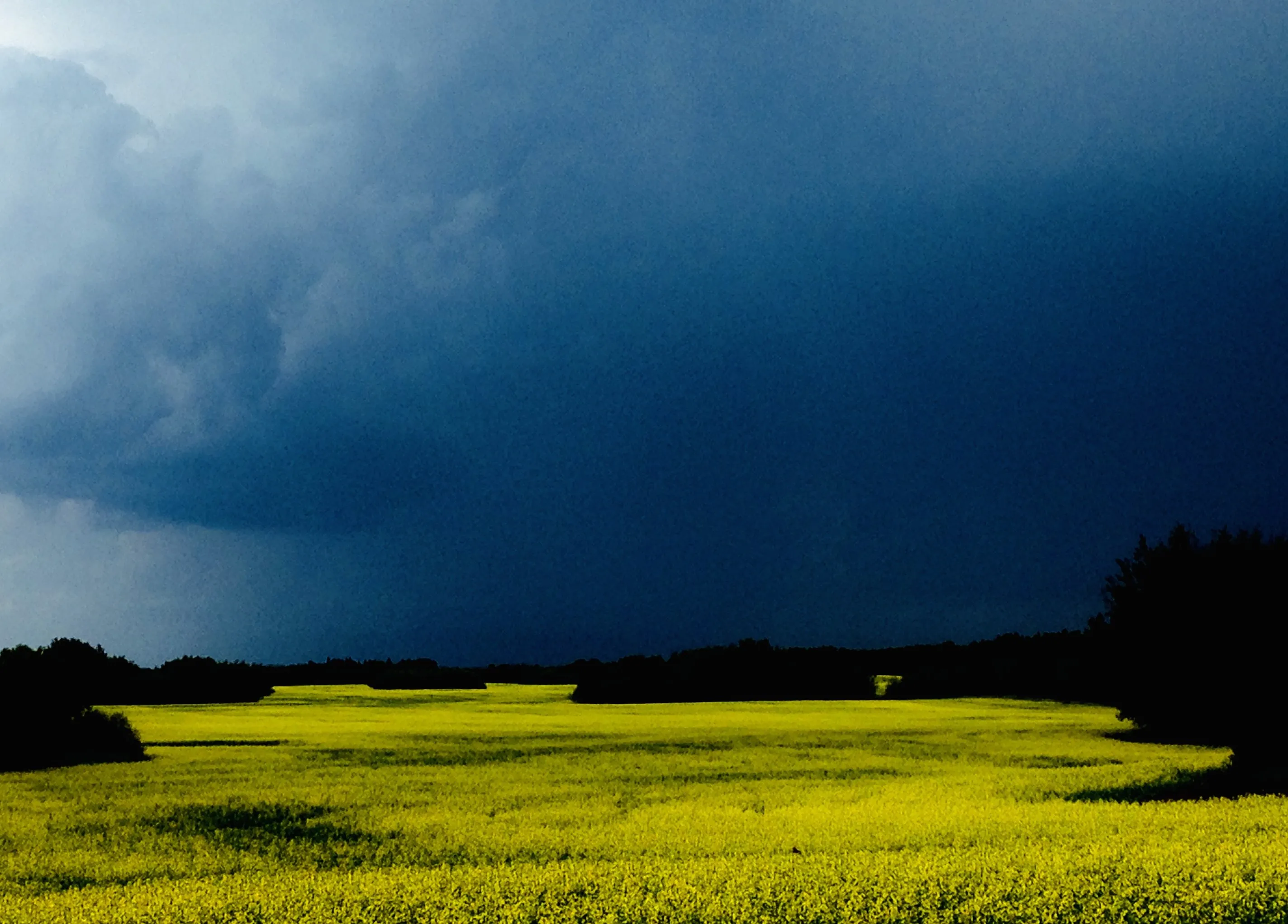 Summer storm