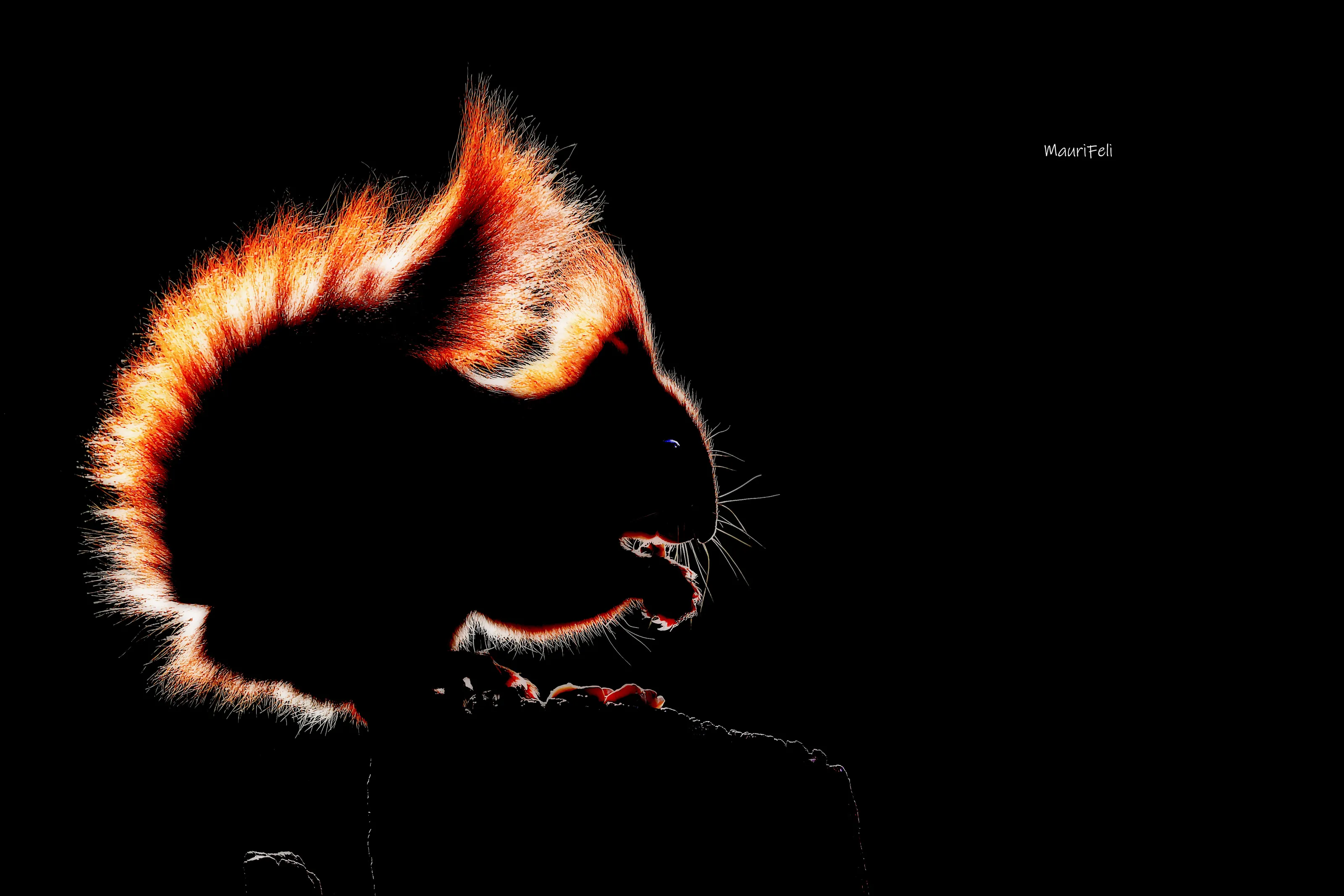 " Semplicemente...ROSSO..."