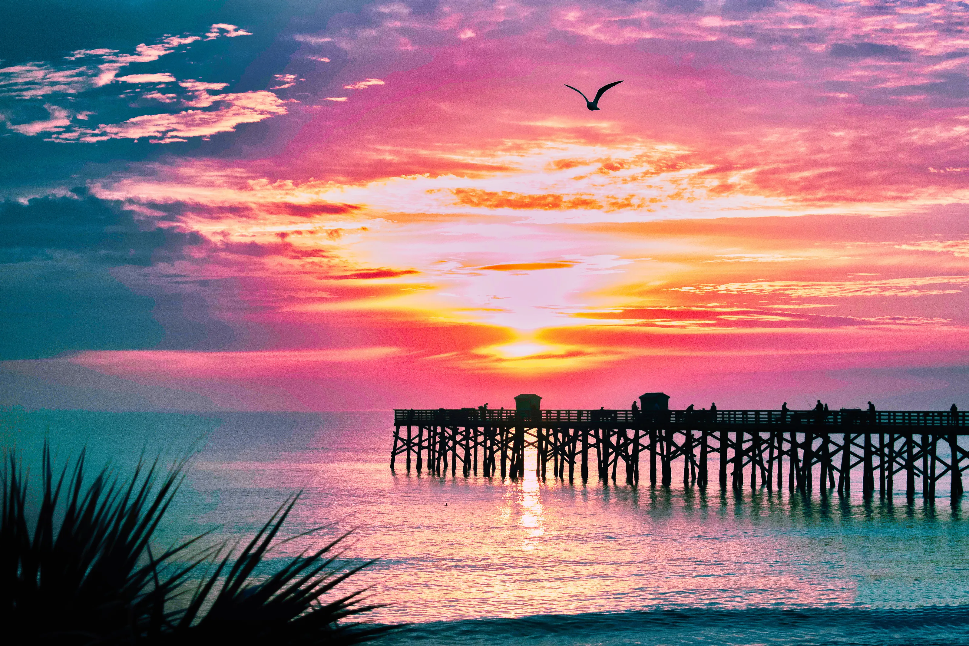 Cotton Candy Sunrise
