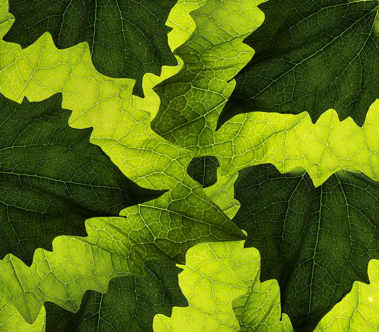 Stack of Green